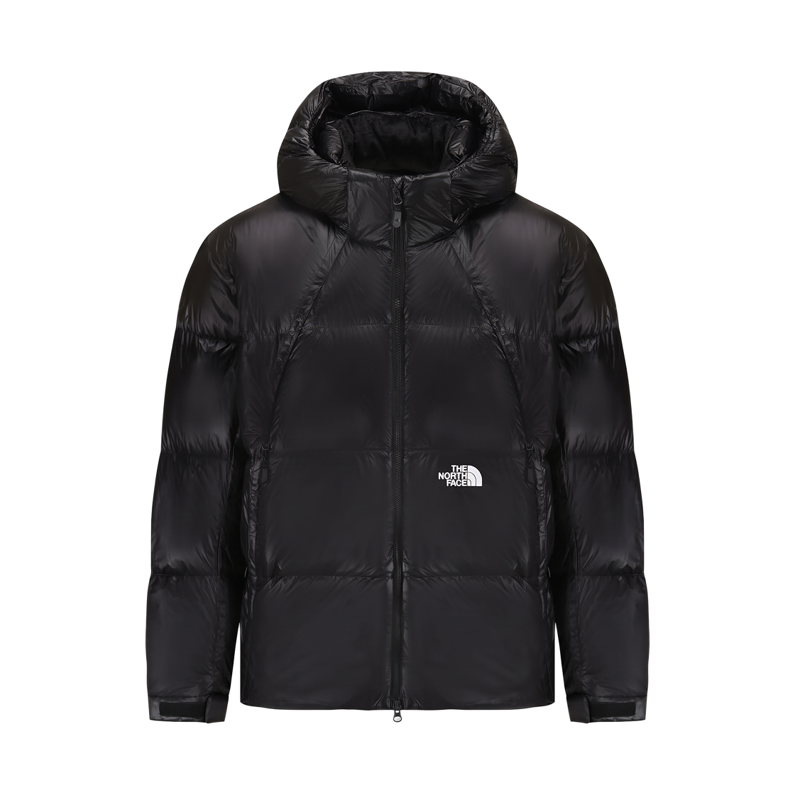 NJ1DS54J The North Face White Label Project Down Jacket V2 RDS Black - 26FW