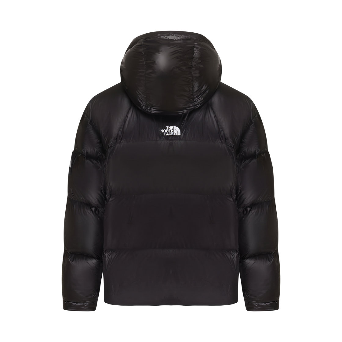 노스페이스 화이트 라벨 프로젝트 다운 자켓 V2 RDS 블랙 - 26FW(The North Face White Label Project Down Jacket V2 RDS Black - 26FW) - 2