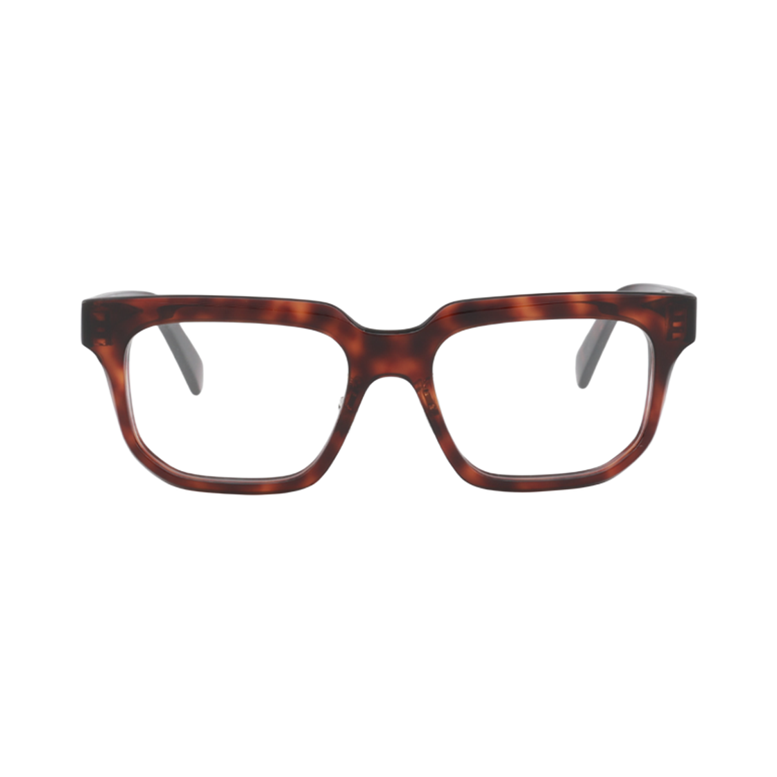 CL50176F-052 Celine Square Glasses in Acetate Havana