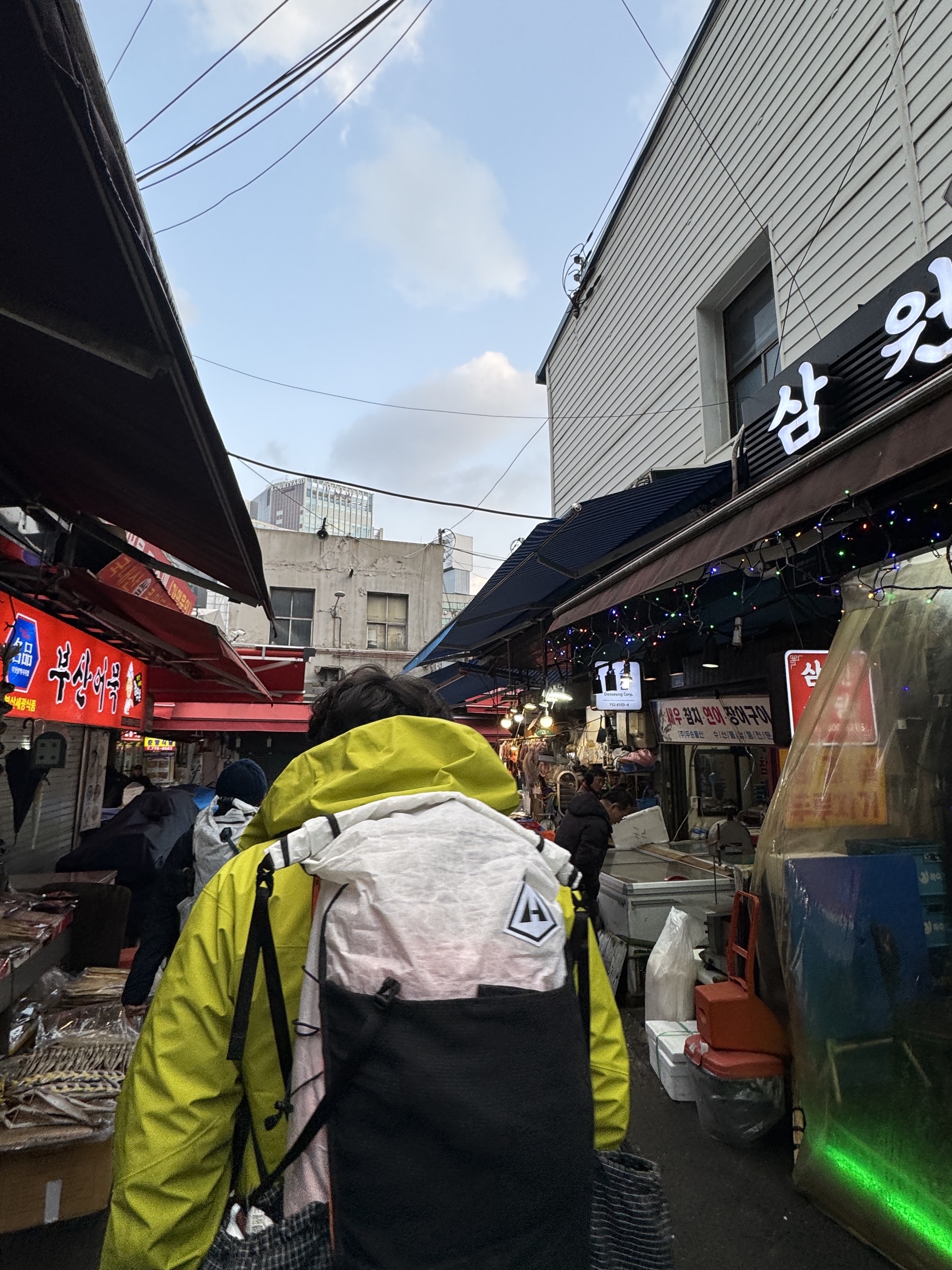 아크테릭스 알파 SV 자켓 24K 블랙 착용 스타일