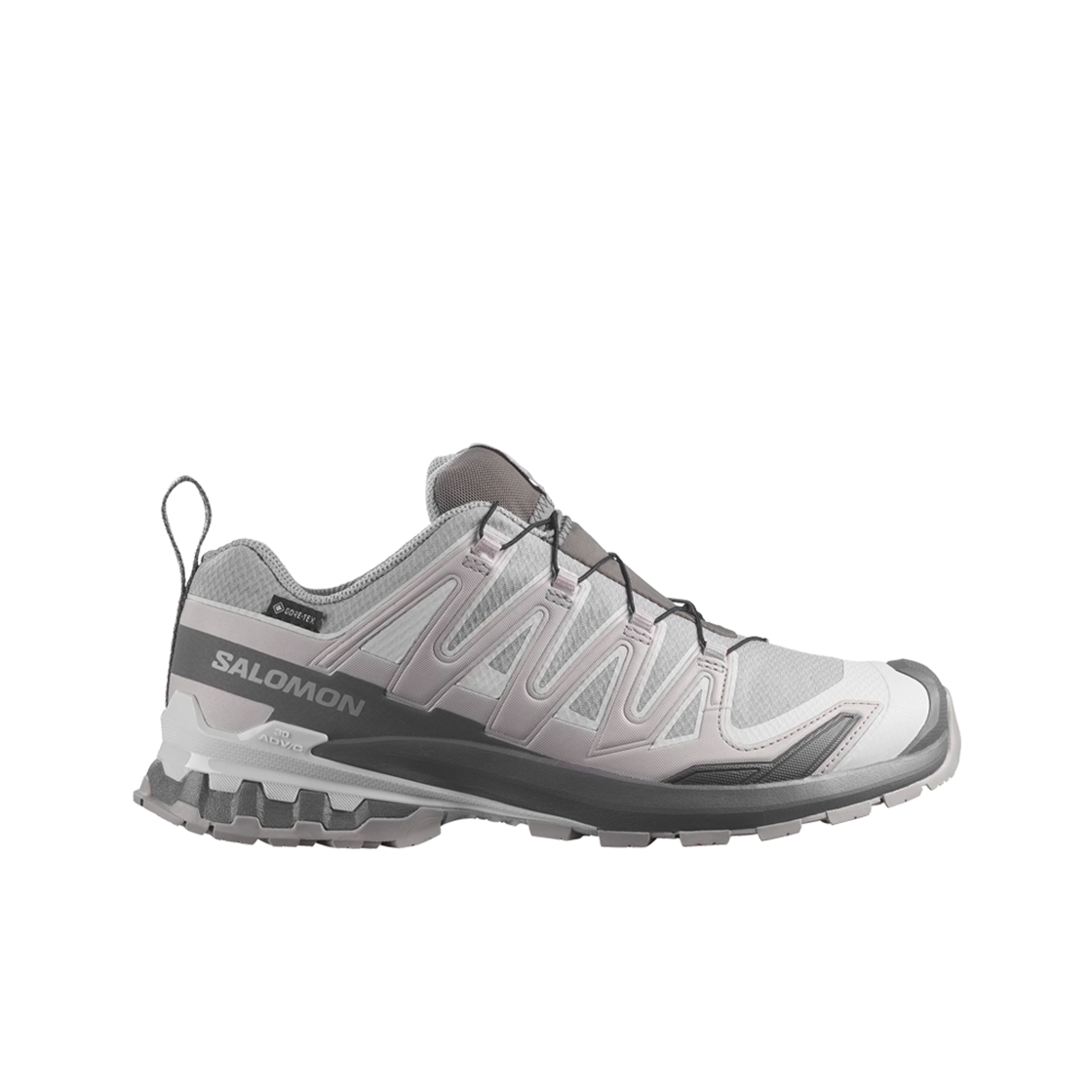 L49199100 Salomon XA Pro 3D V9 GTX Alloy Castlerock
