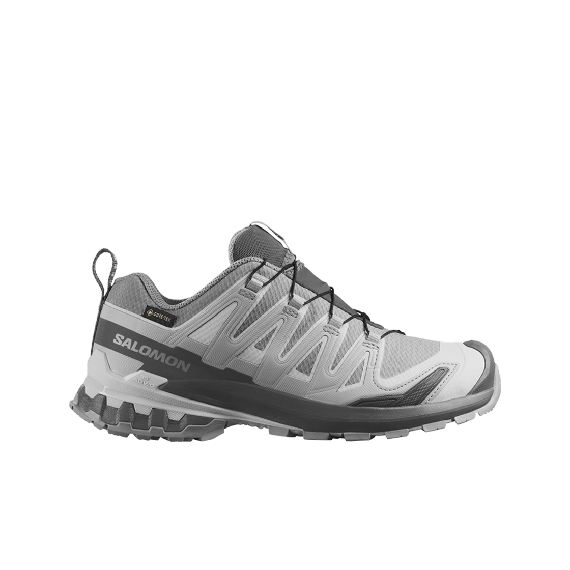 L45412000 (W) Salomon XA PRO 3D V9 GTX Alloy Castlerock