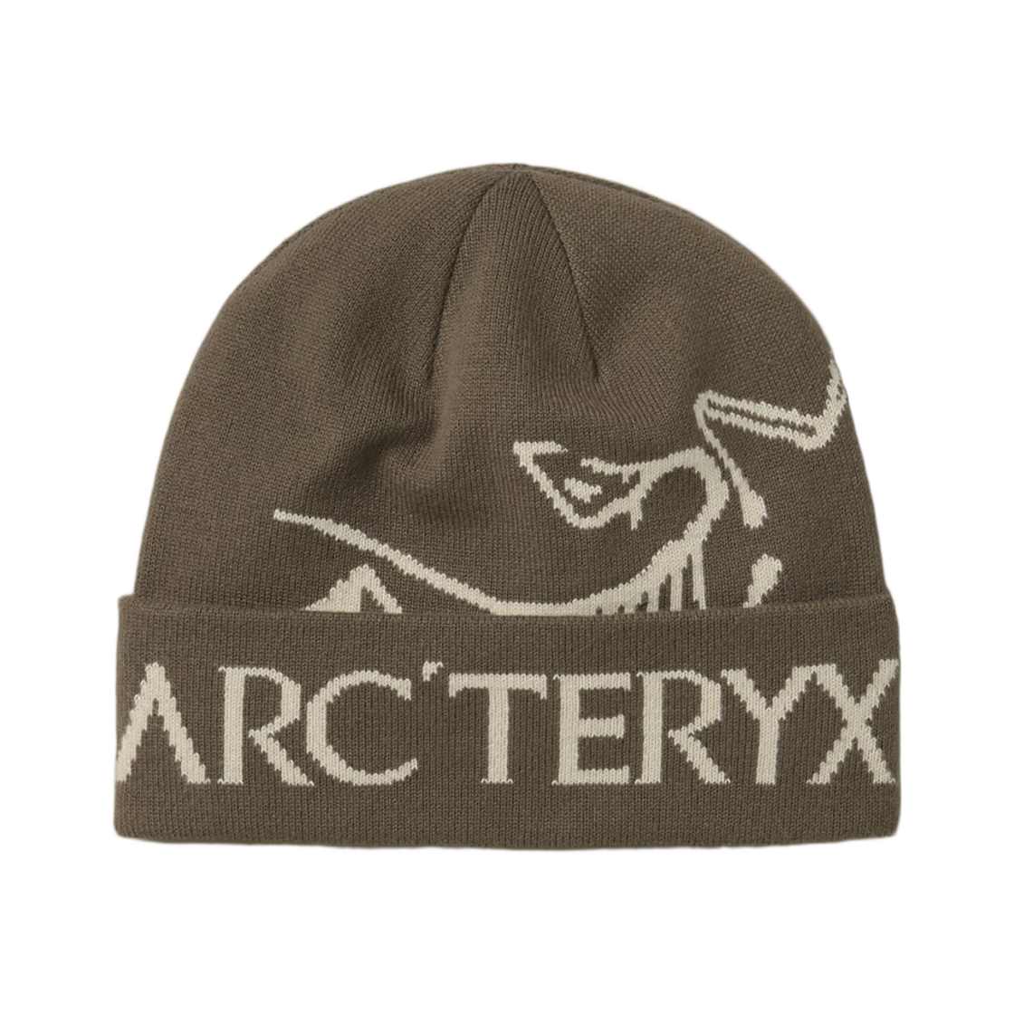 0979 Arc'teryx Bird Word Toque Mongoose Sea Salt