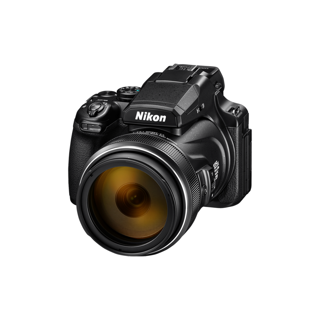 니콘 COOLPIX P1100 - 2