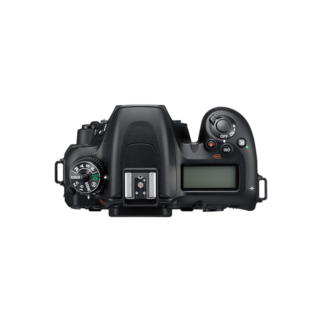 니콘 DX 포맷 DSLR 카메라 D7500 BODY - 3