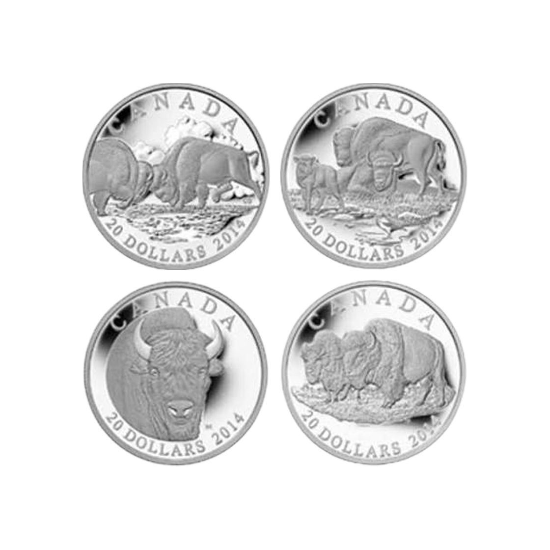 은 캐나다 왕립 조폐국 2014 캐나다 바이슨 코인 1온즈 (4개 세트)(Silver Royal Canadian Mint 2014 Canada Bison Coin 1 oz (Set of 4)) - 1