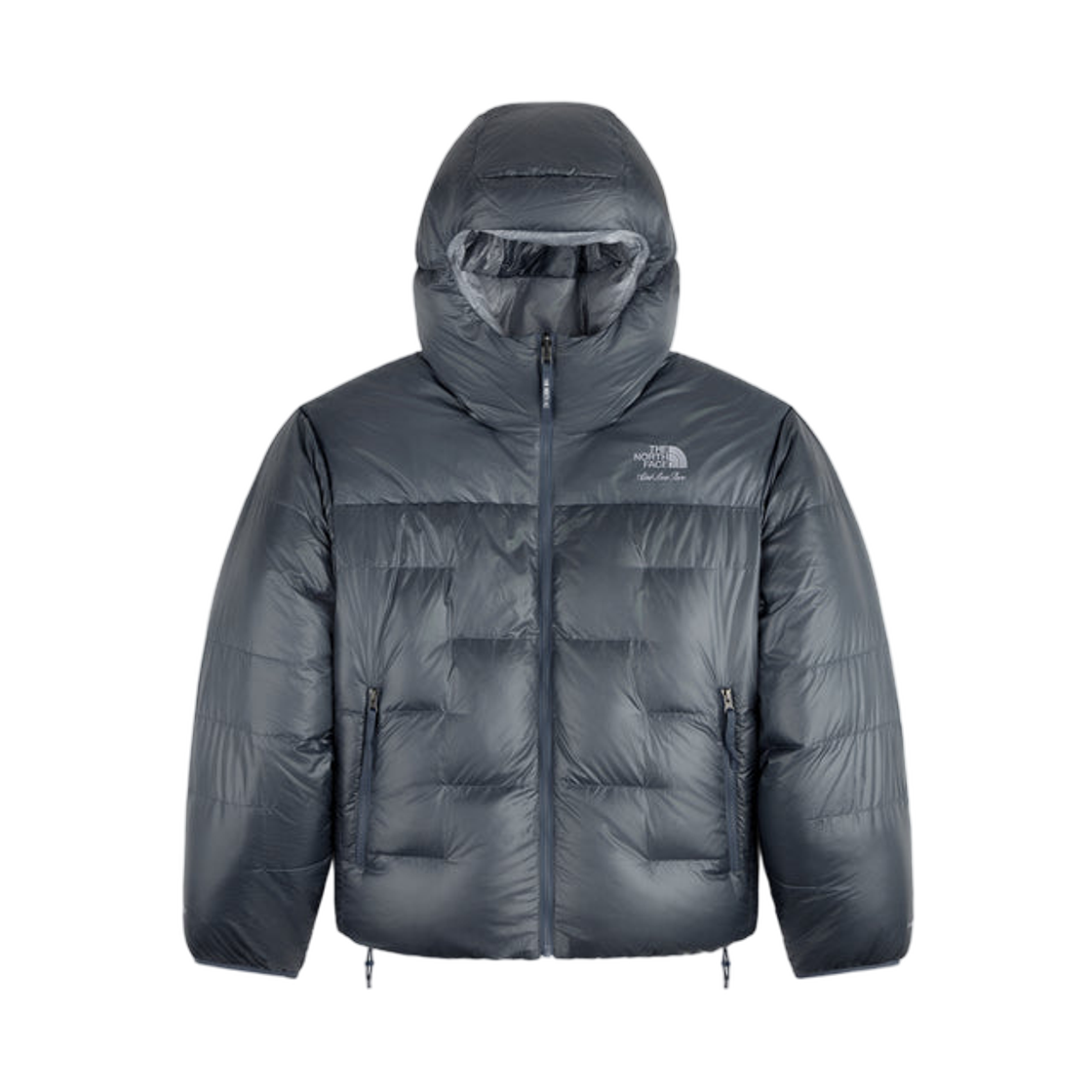 에메 레온 도르 x 노스페이스 리버시블 퍼텍스 리얼 자켓 프로스트 그레이(Aime Leon Dore x The North Face Reversible Pertex Nuptse Jacket Frost Grey) - 1