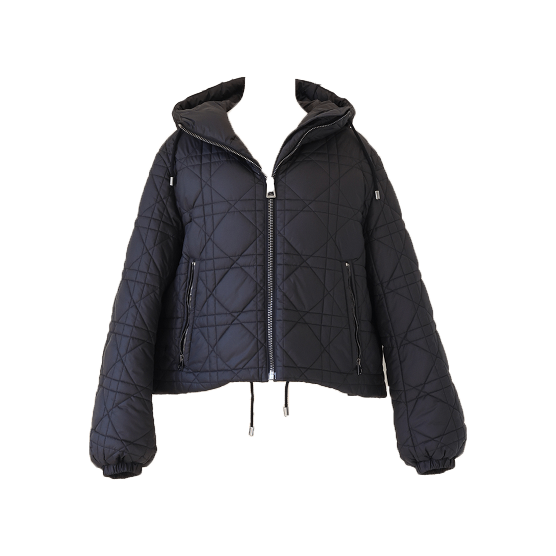 ITU94IETFWEB Dior Macro Cannage Hooded Cropped Puffer Jacket