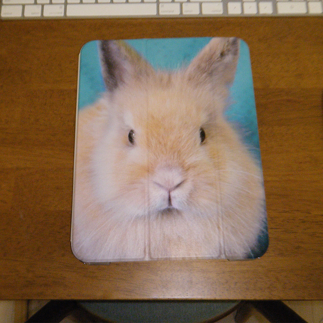 나나카세이 버니 아이패드 케이스(NANAKASEI bunny iPad case) - 5