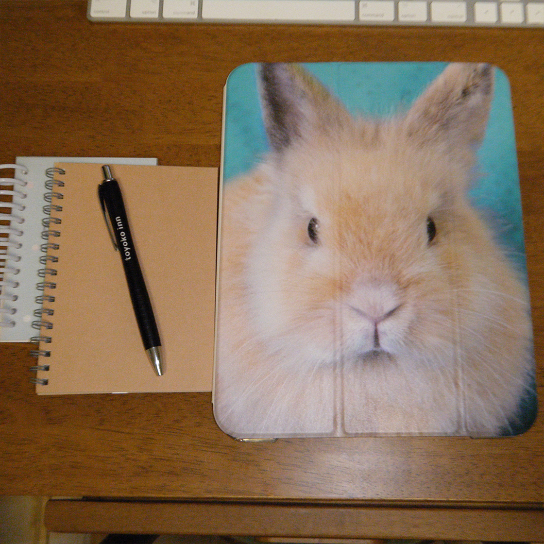 나나카세이 버니 아이패드 케이스(NANAKASEI bunny iPad case) - 3