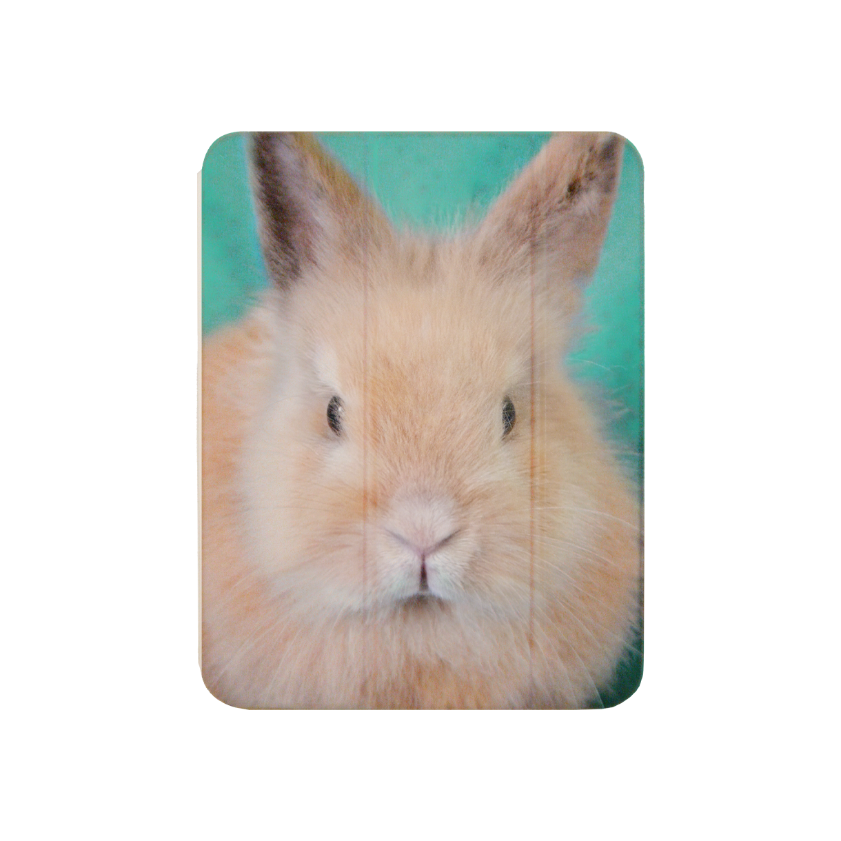 나나카세이 버니 아이패드 케이스(NANAKASEI bunny iPad case) - 1