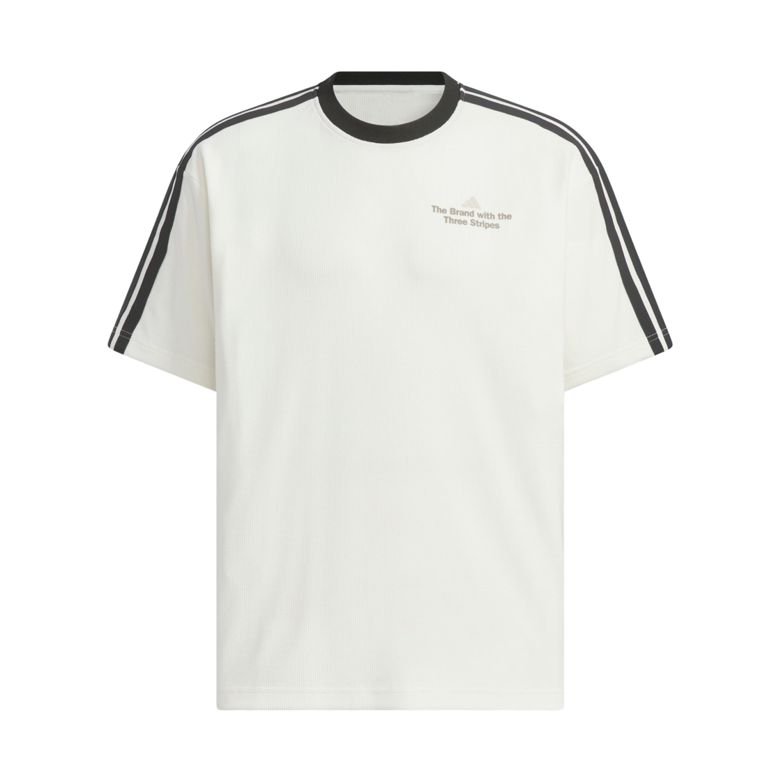 KF2472 Adidas Loose Fit Graphic T-Shirt Off White Black - KR Sizing