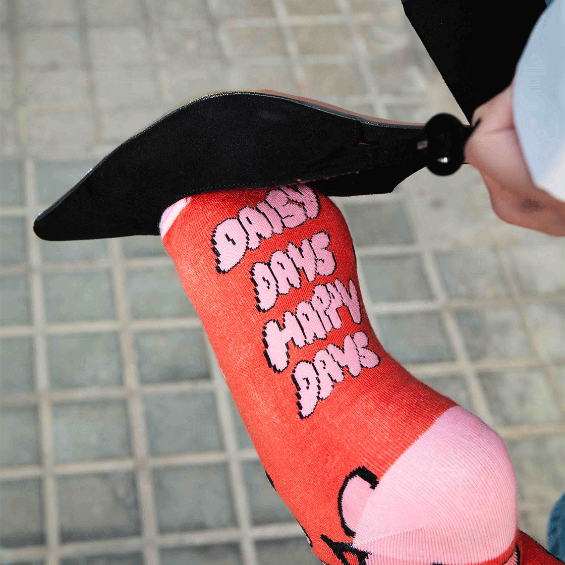 잇마이삭스Daisy 데이지 삭스 양말(Eat My Socks Flat Pack Daisy) - 4