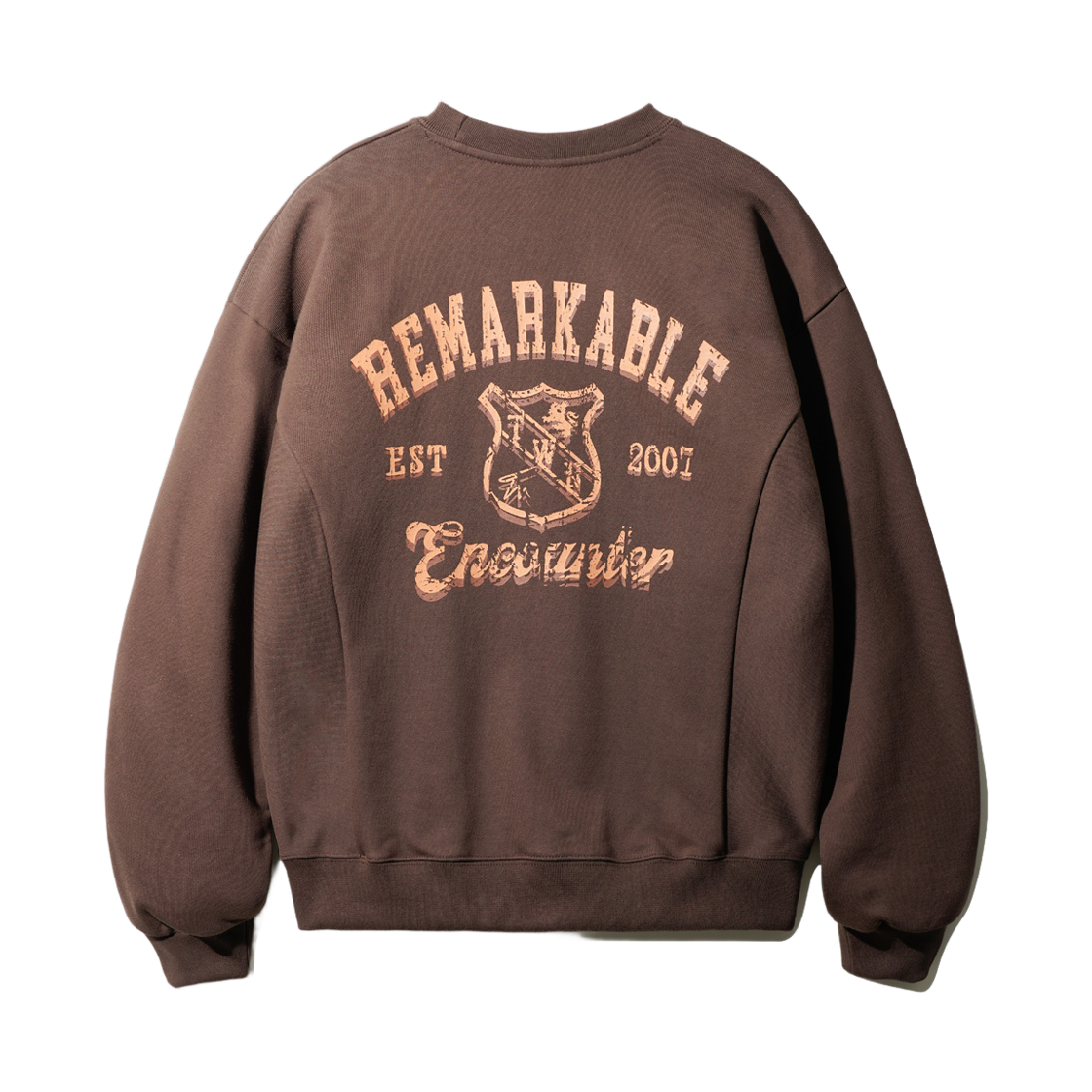 티떠블유엔 언카운터 맨투맨 브라운 HSMT3617(TWN Encounter Sweatshirts Brown HSMT3617)