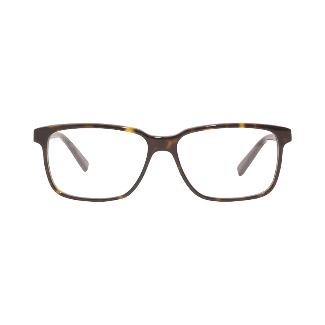 SL-458-005 Saint Laurent SL 458 Glasses Havana