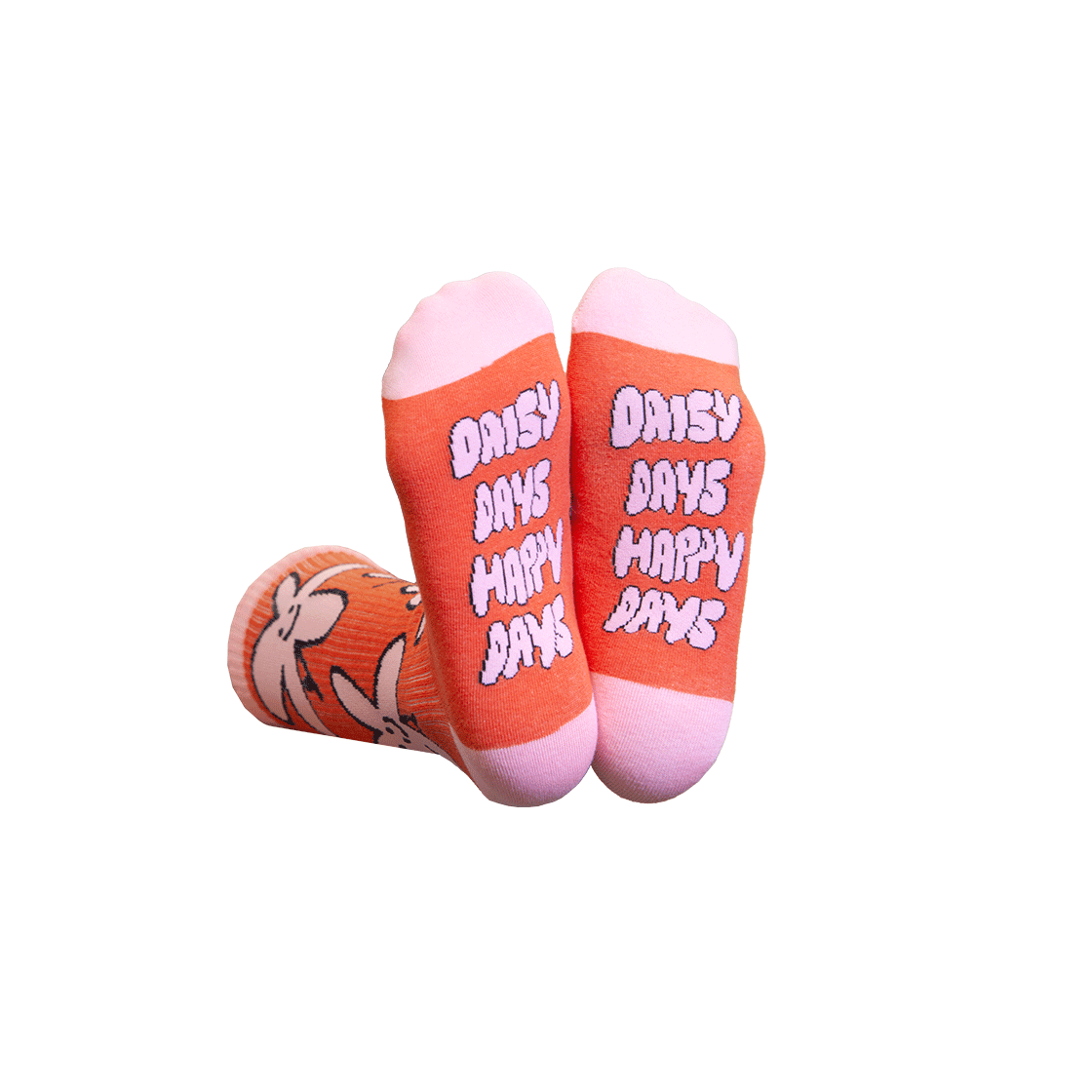 잇마이삭스Daisy 데이지 삭스 양말(Eat My Socks Flat Pack Daisy) - 3
