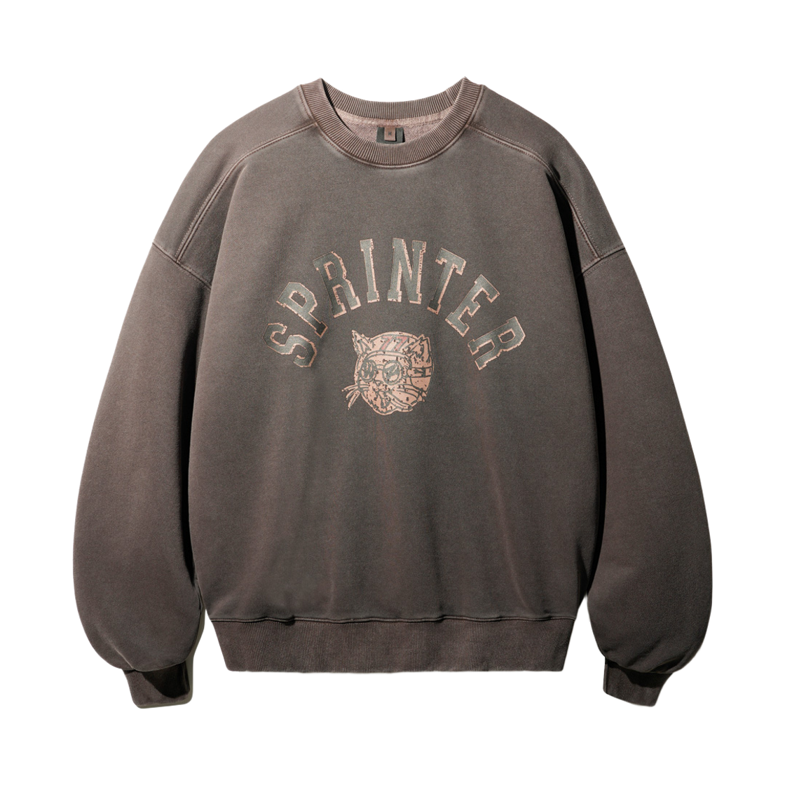 티떠블유엔 스프린터 피그먼트 맨투맨 브라운 HSMT3603(TWN Sprinter Pigment Sweat Shirts Brown HSMT3603) - 1