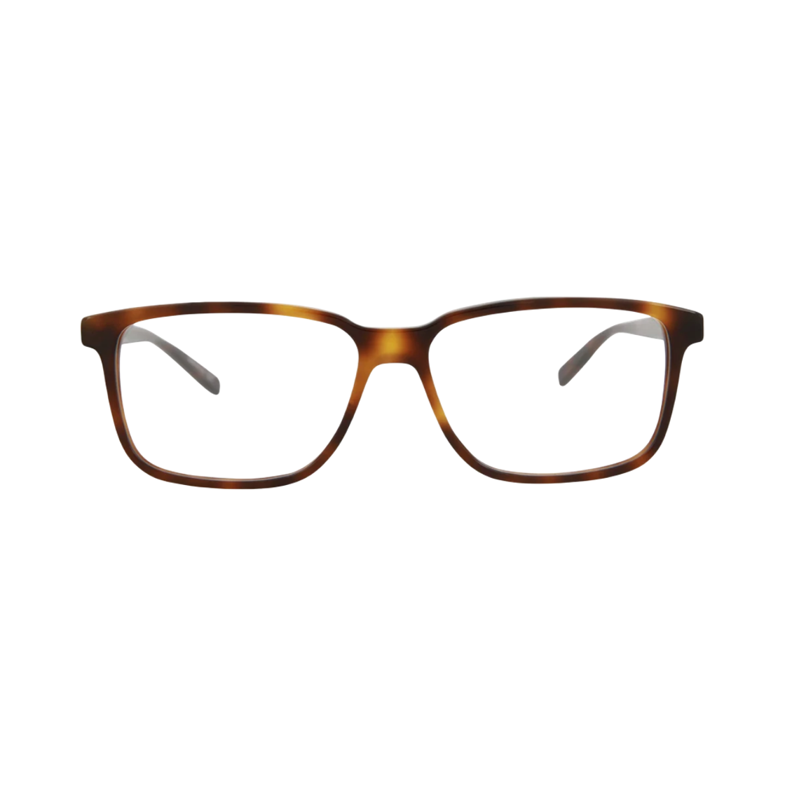 SL-458-006 Saint Laurent SL 458 Glasses Havana
