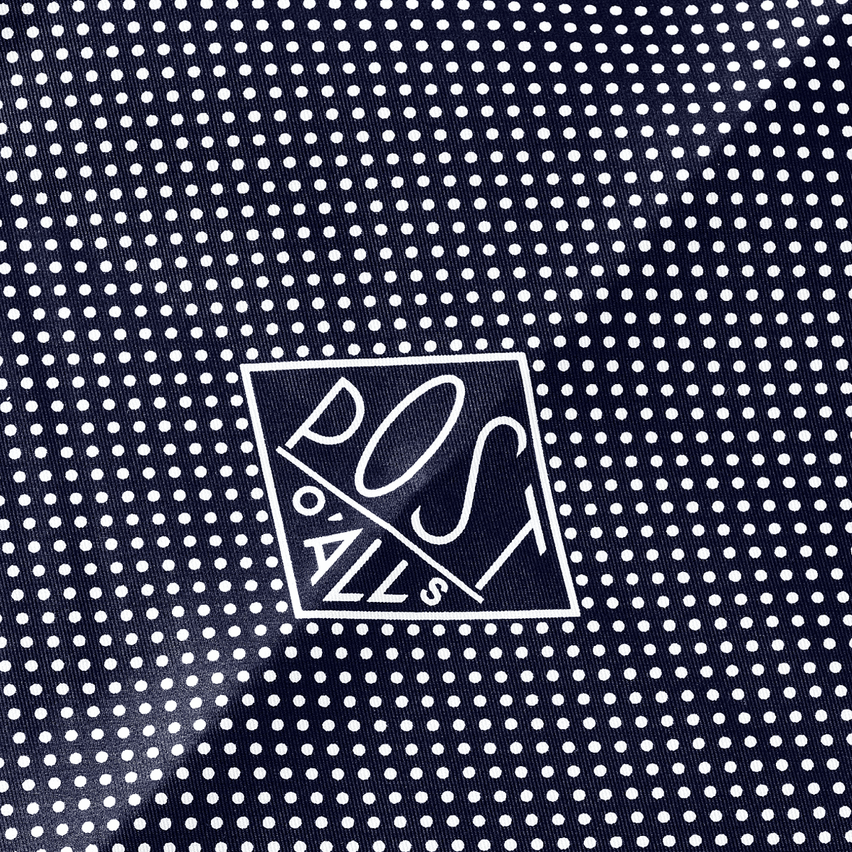 포스트 오버롤즈 1993 스카프 네이비 화이트 - 26FW(Post O'Alls 1993 Scarf Navy White - 26FW) - 5