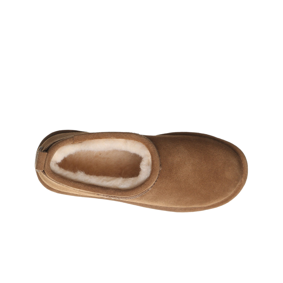 (W) 베어파우 레트로 슈퍼 쇼티 히코리((W) Bear Paw Retro Super Shorty Hickory) - 2