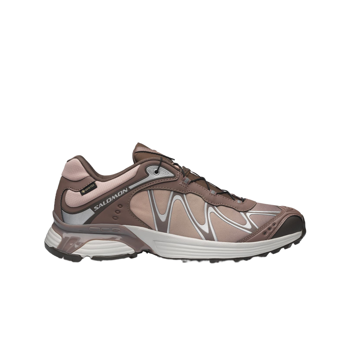 L45397400 Salomon XT-Whisper GTX Iron Shadow Gray