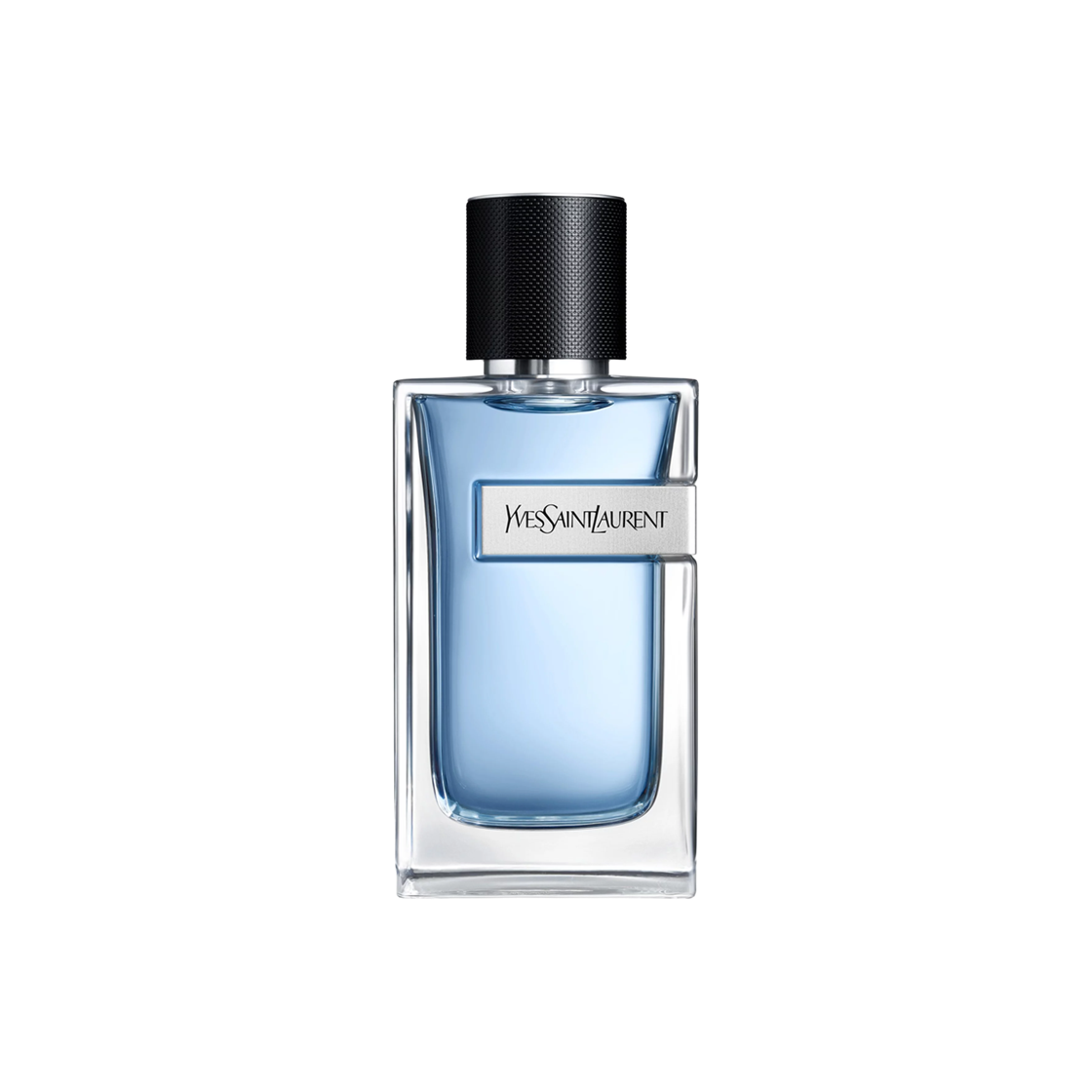 입생로랑 와이 오 드 뚜왈렛 100ml