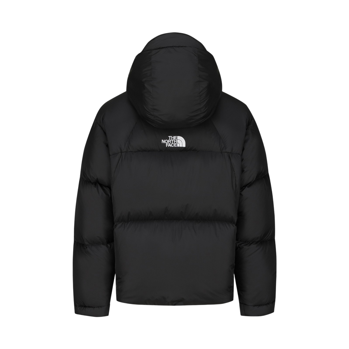 노스페이스 프로젝트 다운 자켓 (RDS) NJ1DS66J_BLK(The North Face Project Down Jacket (RDS)) - 2