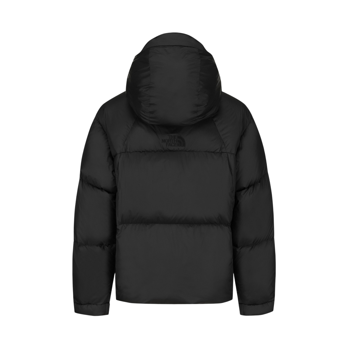 노스페이스 프로젝트 다운 자켓 (RDS) NJ1DS66M_RBK(The North Face Project Down Jacket (RDS)) - 2