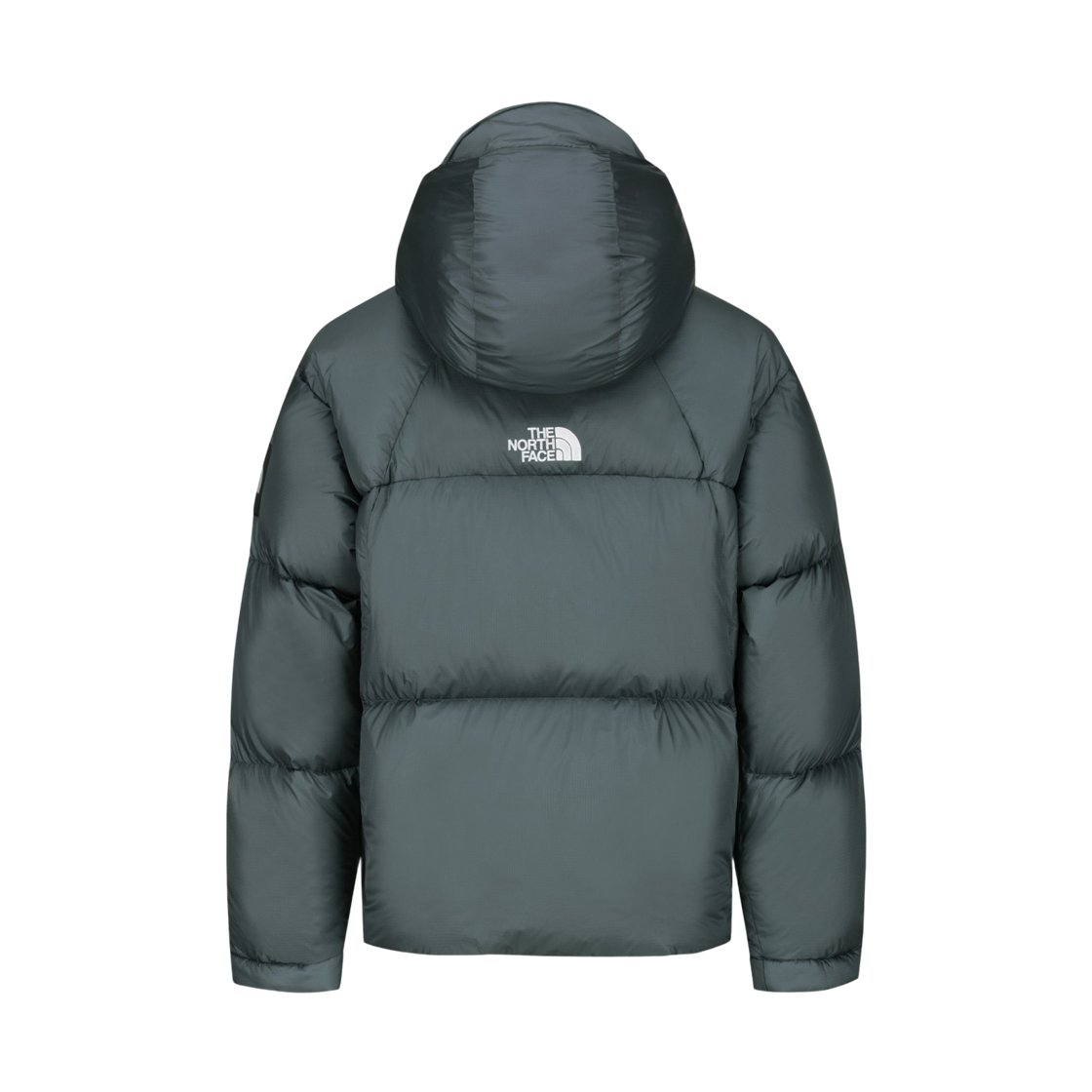노스페이스 프로젝트 다운 자켓 (RDS) NJ1DS66K_DUB(The North Face Project Down Jacket (RDS)) - 2