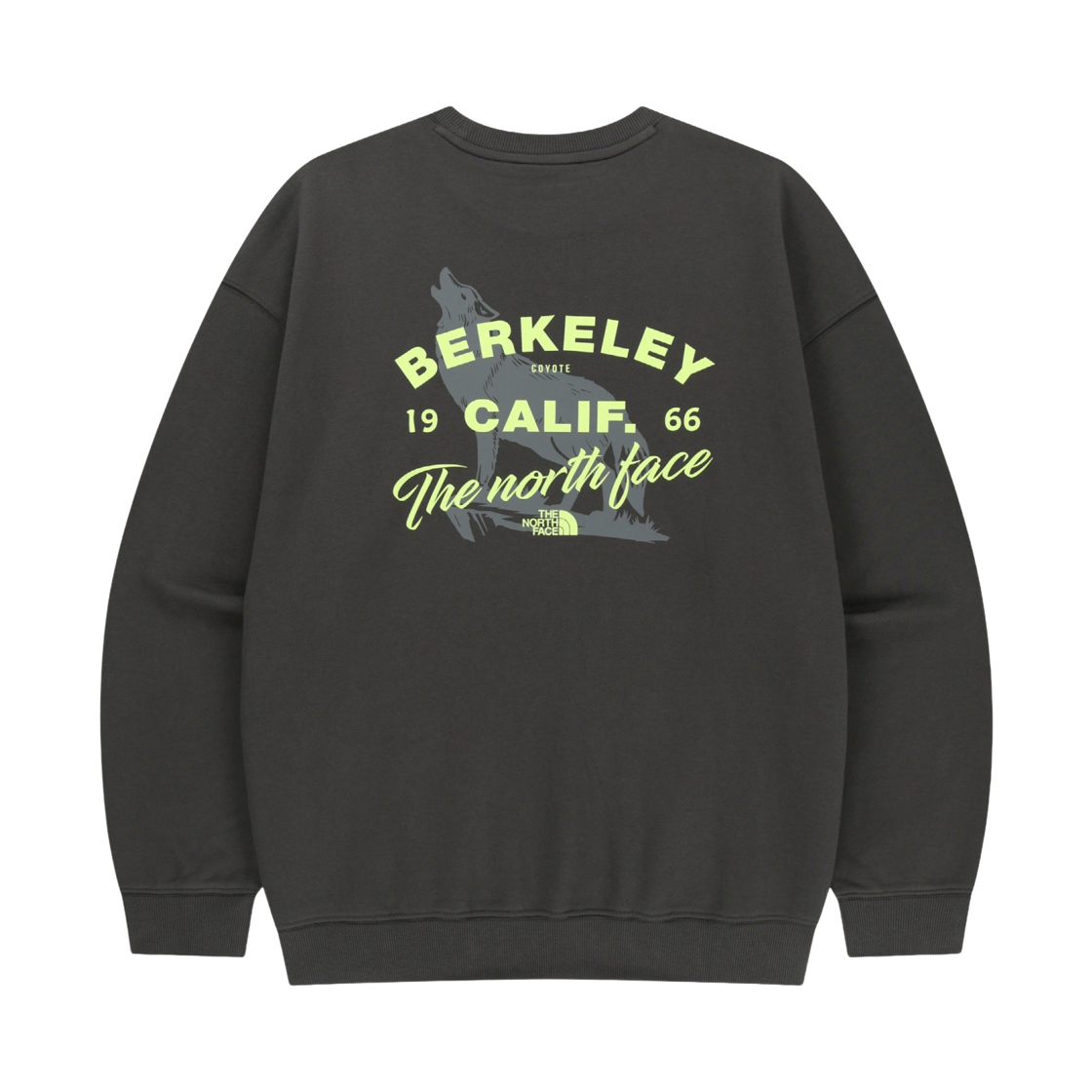 NM5MS06J The North Face Berkeley Sweatshirts CHG