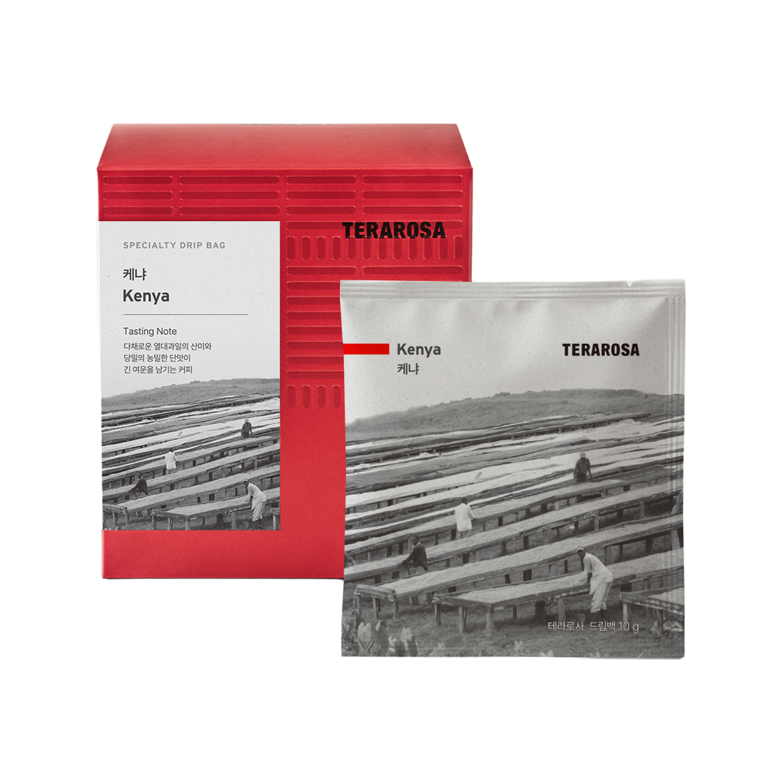 테라로사 이달의 드립백 세트 10개입(TERAROSA  Drip Bag Gift Set) - 2