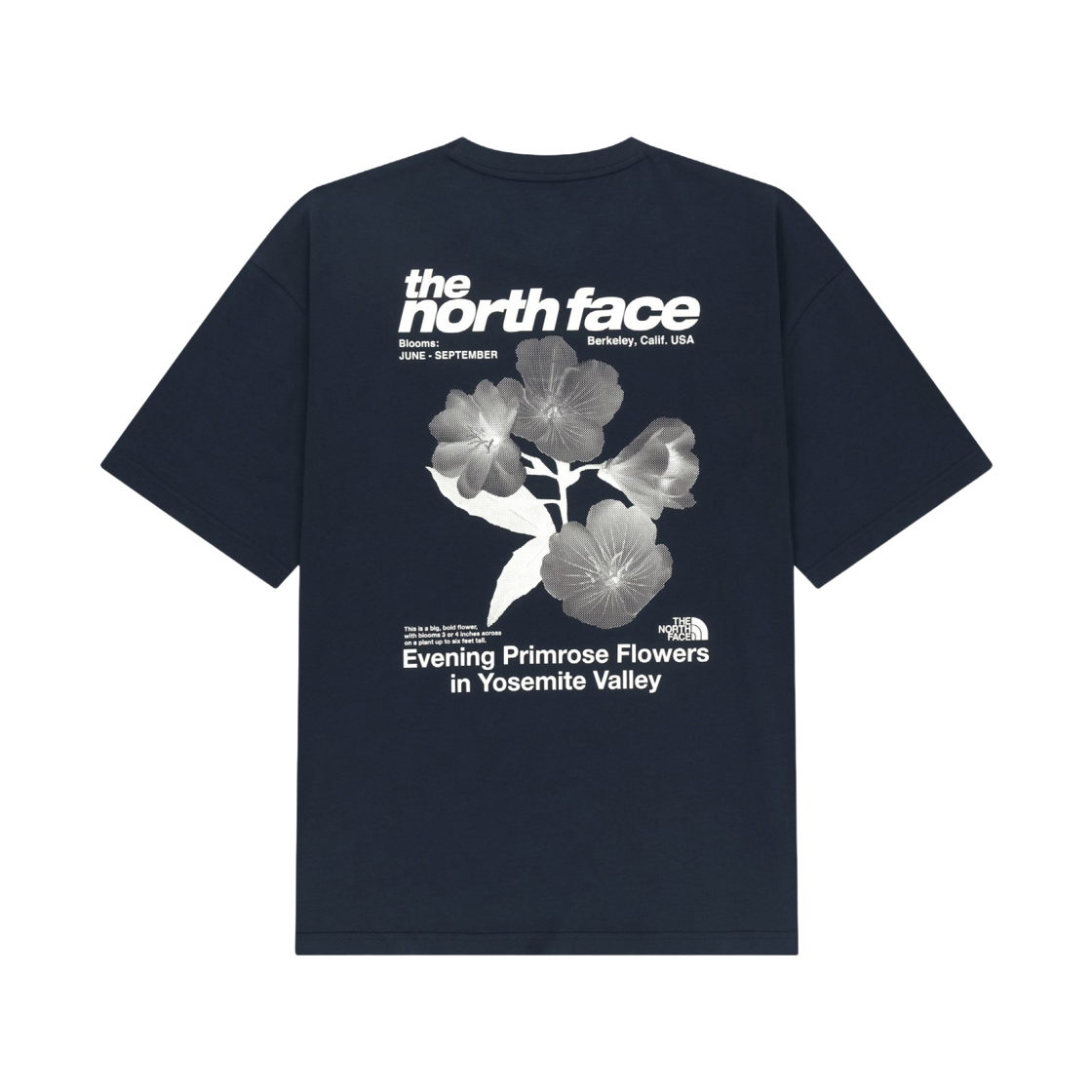 NT7US07J The North Face Wildflower S/S R/Tee NAV