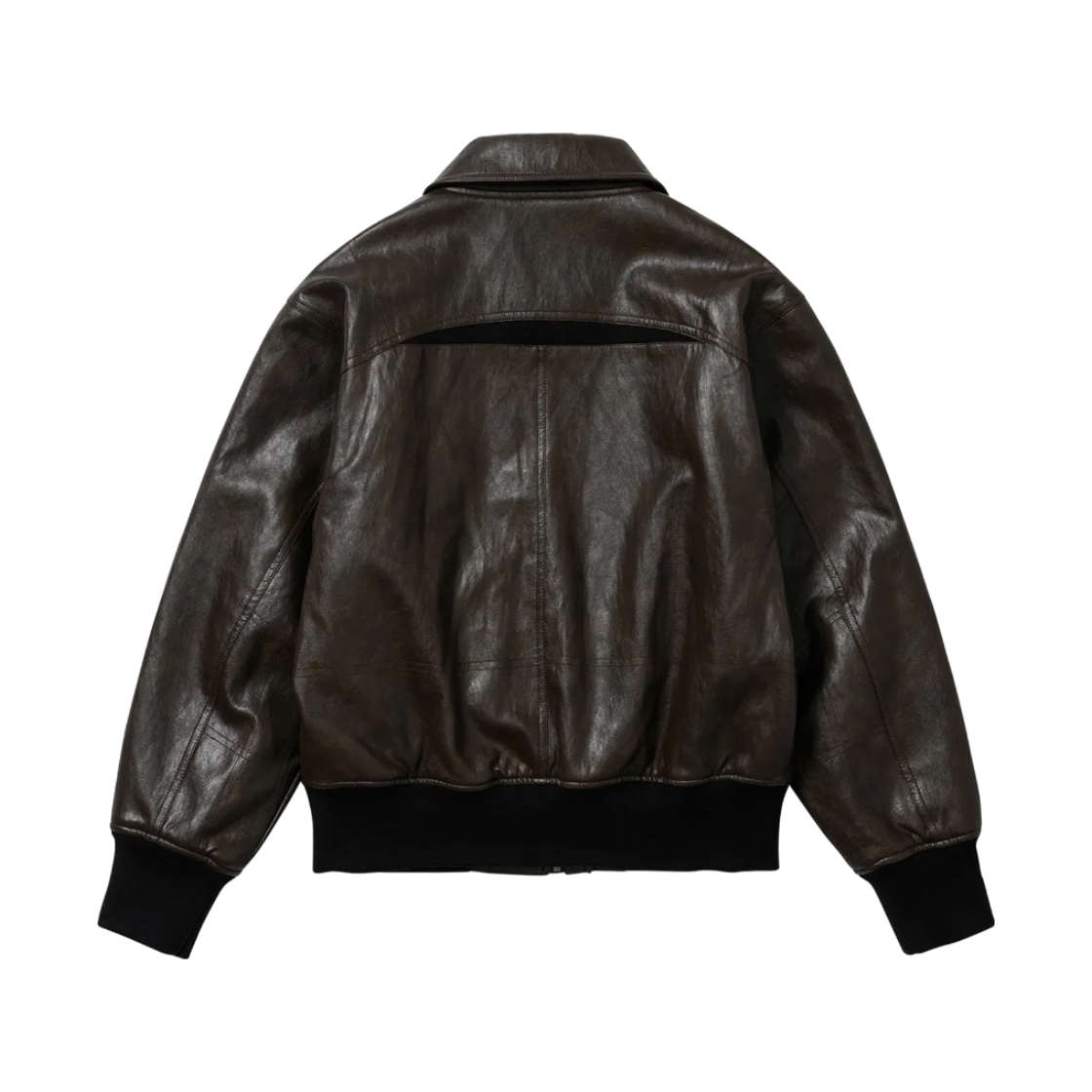 웰빙익스프레스 패디드 페이크 레더 자켓 브라운(WELLBEING EXPRESS Padded Faux Leather Jacket Brown) - 2