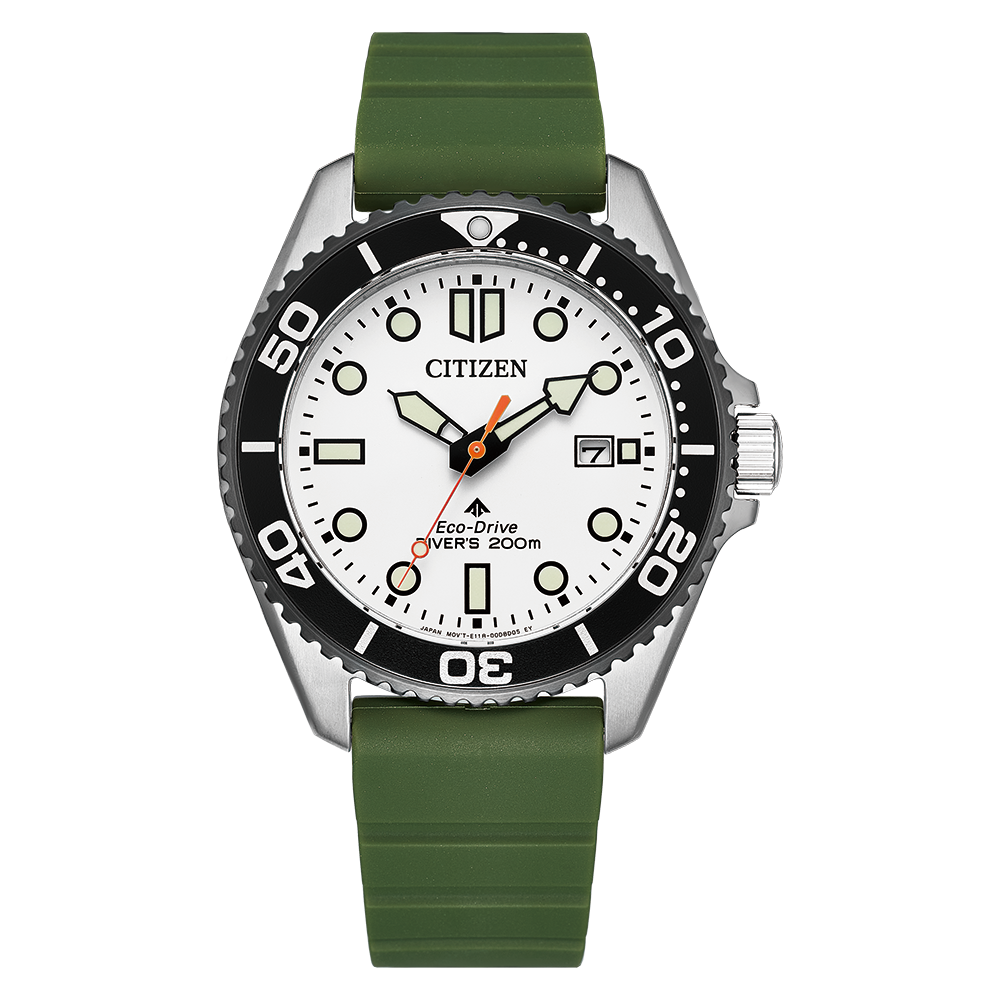 Promaster Diver CITIZEN Art Deco 17468AP08