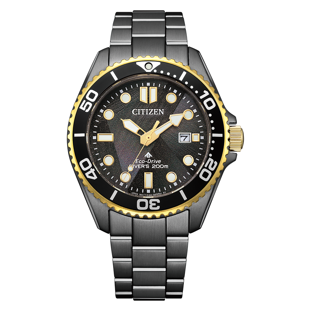 시티즌 Promaster 남성시계 BN0264-53E(CITIZEN Eco-Drive CA0615-59E)