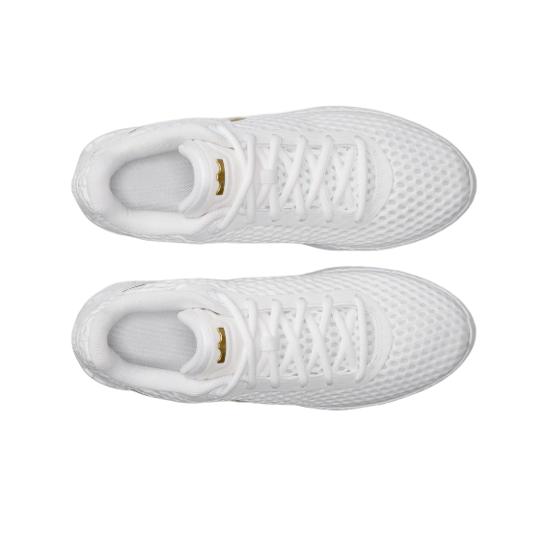 나이키 르브론 10 EP 화이트 메탈릭 골드(Nike Lebron 10 EP White Metallic Gold) - 2