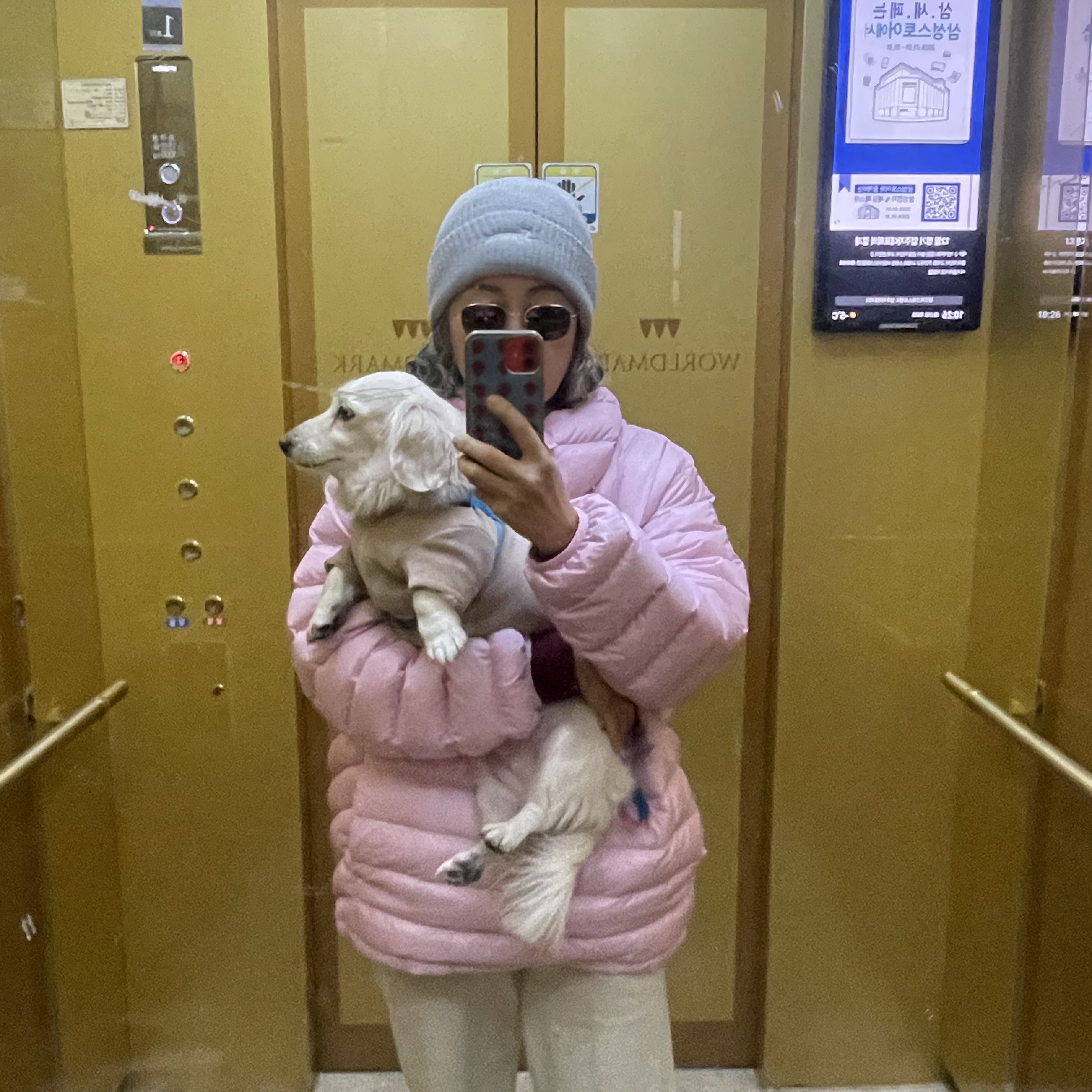 Ganni Wool Beanie Lilac Sachet, Supreme Loose Gauge Beanie Light Grey - 24FW 착용 스타일 - 2