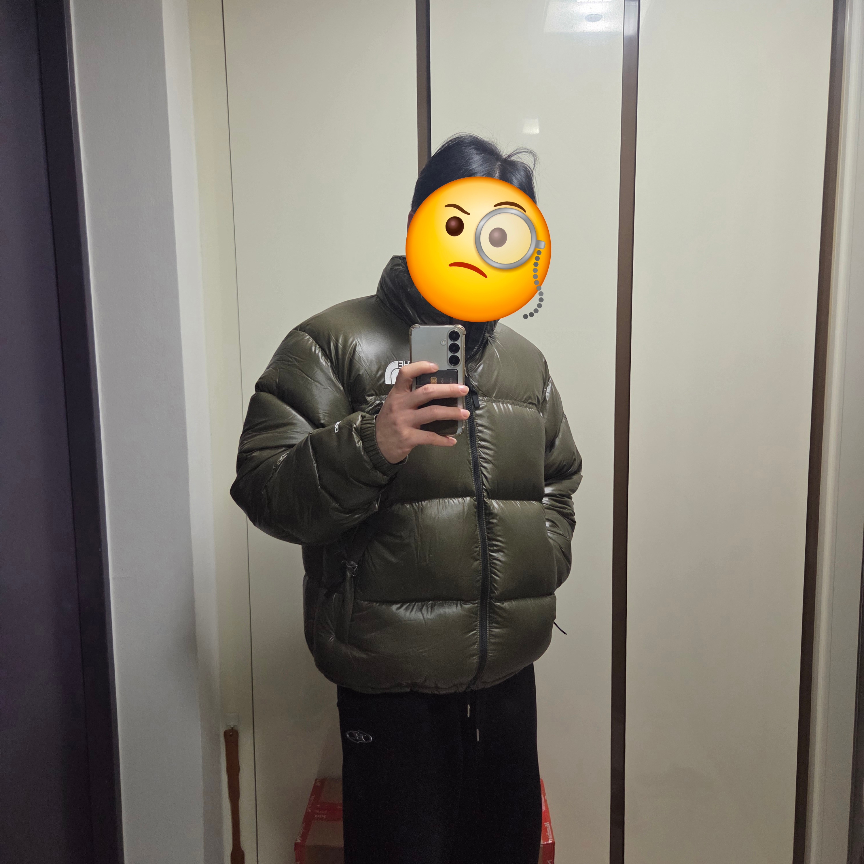 The North Face 1996 Retro Nuptse Down Jacket TNF New Taupe Green Shine 착용 스타일