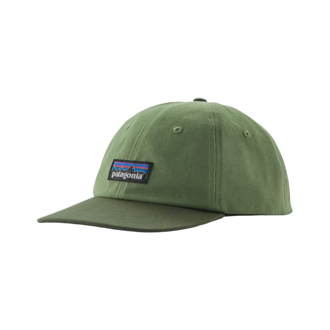 파타고니아 P-6 레이블 트래드 캡 터레인 그린(Patagonia P-6 Label Trad Cap Terrain Green)