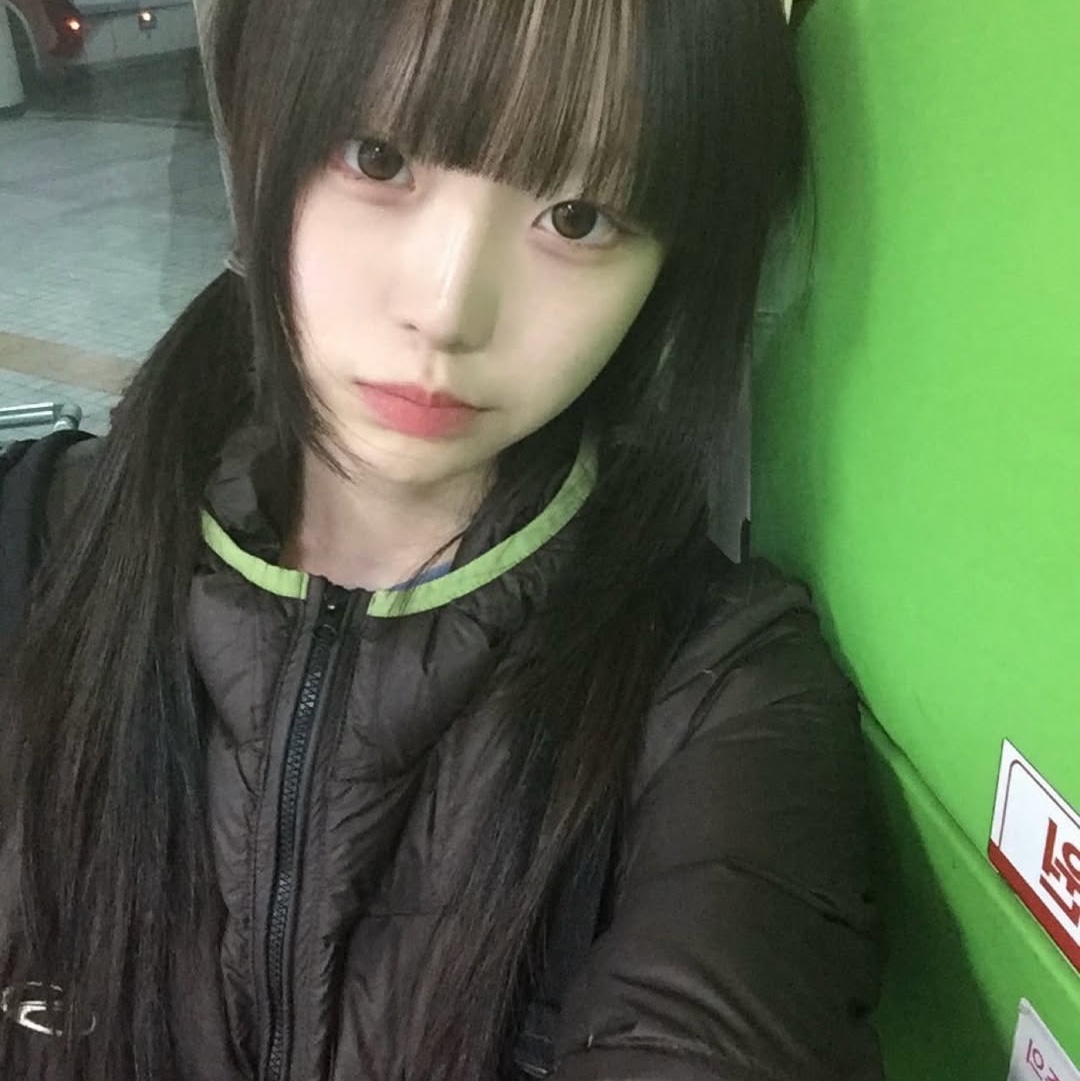 SPORT CHAMBER Light DuckDown Jacket Brown 착용 스타일 - 5