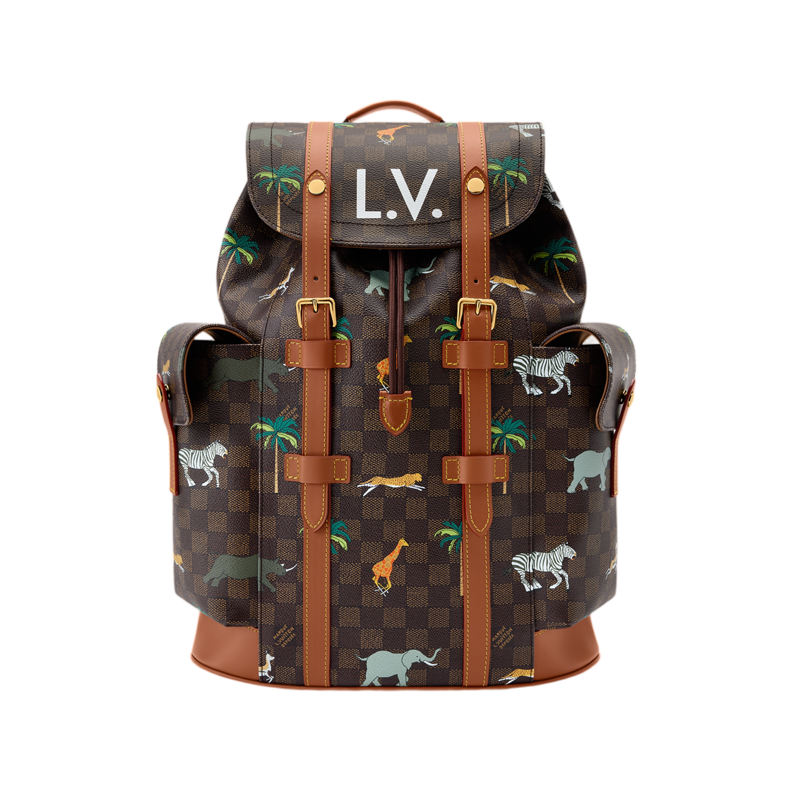 N40864 Louis Vuitton Christopher MM x The Darjeeling Limited Brown