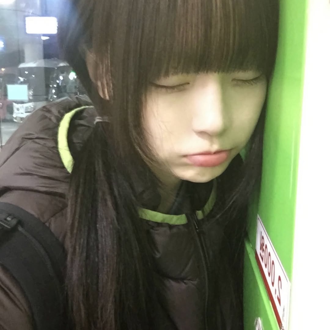 SPORT CHAMBER Light DuckDown Jacket Brown 착용 스타일 - 3