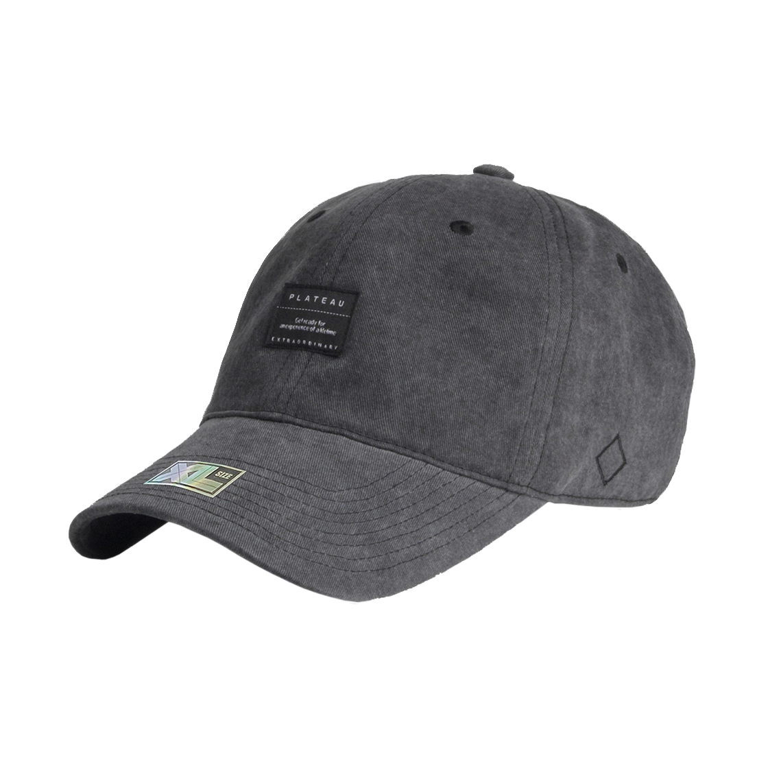 XL119 PLATEAU Big Size XL Basic Cap Dark Grey