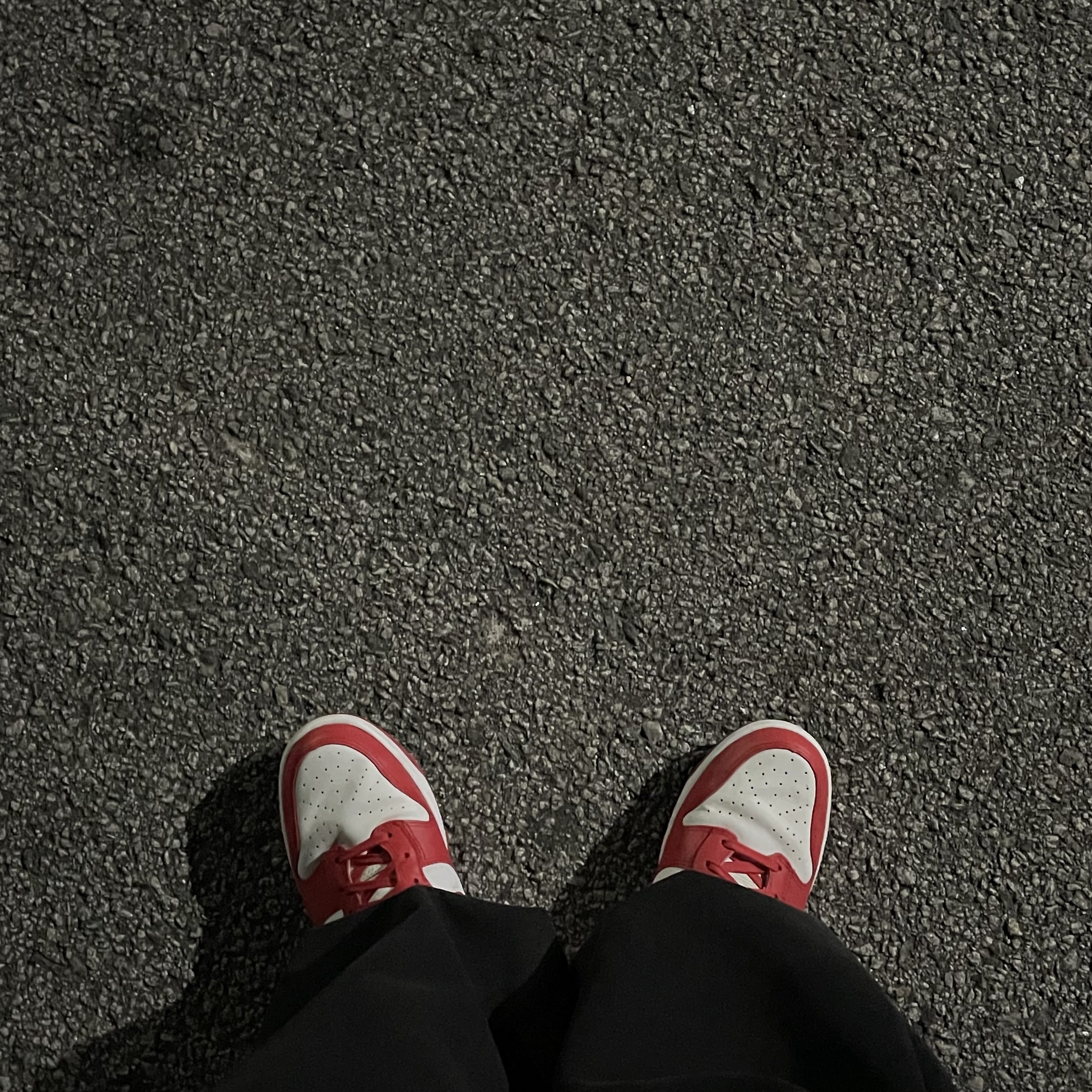 Nike Dunk High Retro Championship White and Red 착용 스타일