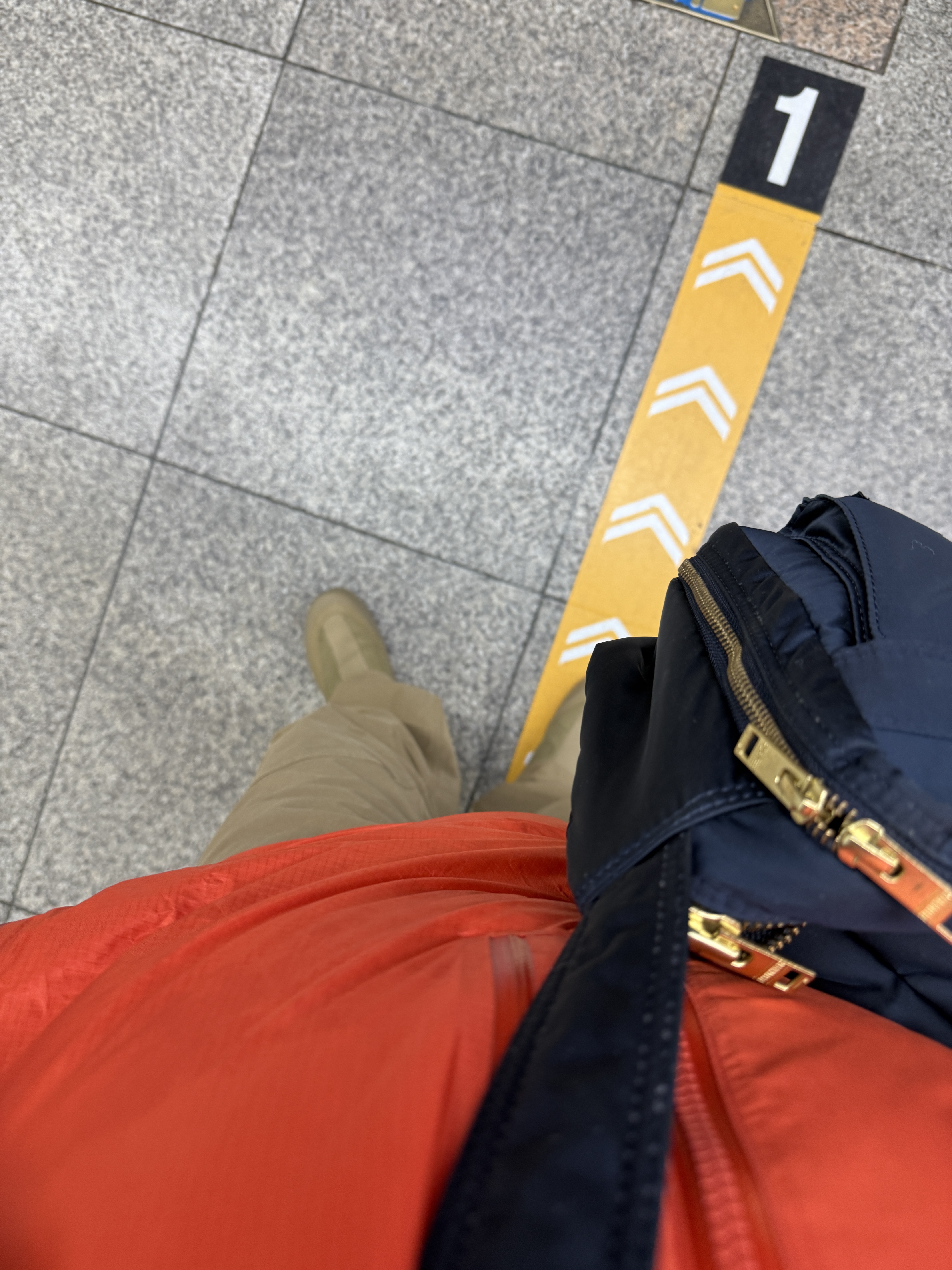 Arc'teryx Alpha Parka Dynasty 착용 스타일