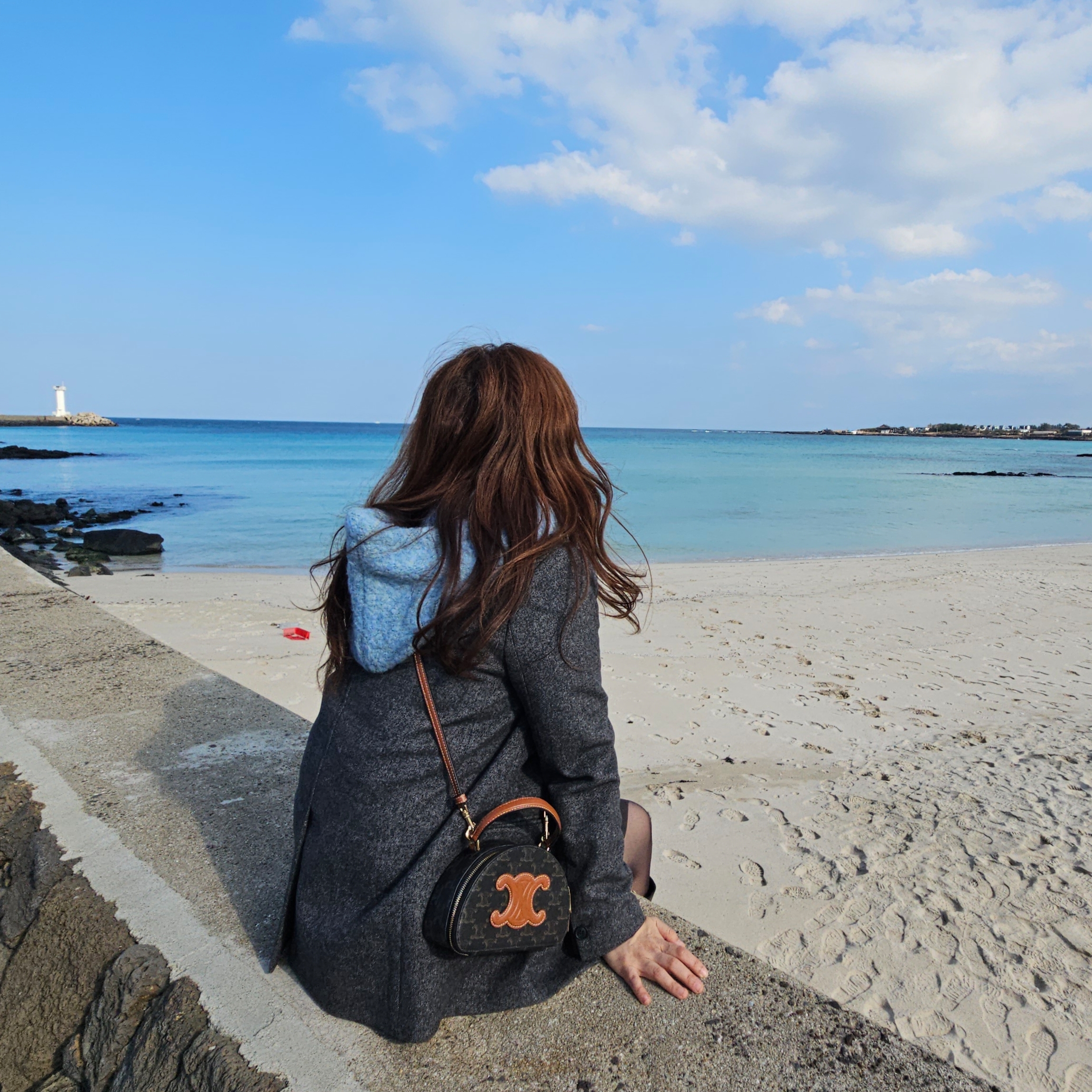 Celine Half Moon Case Triomphe Canvas Tan 착용 스타일 - 3