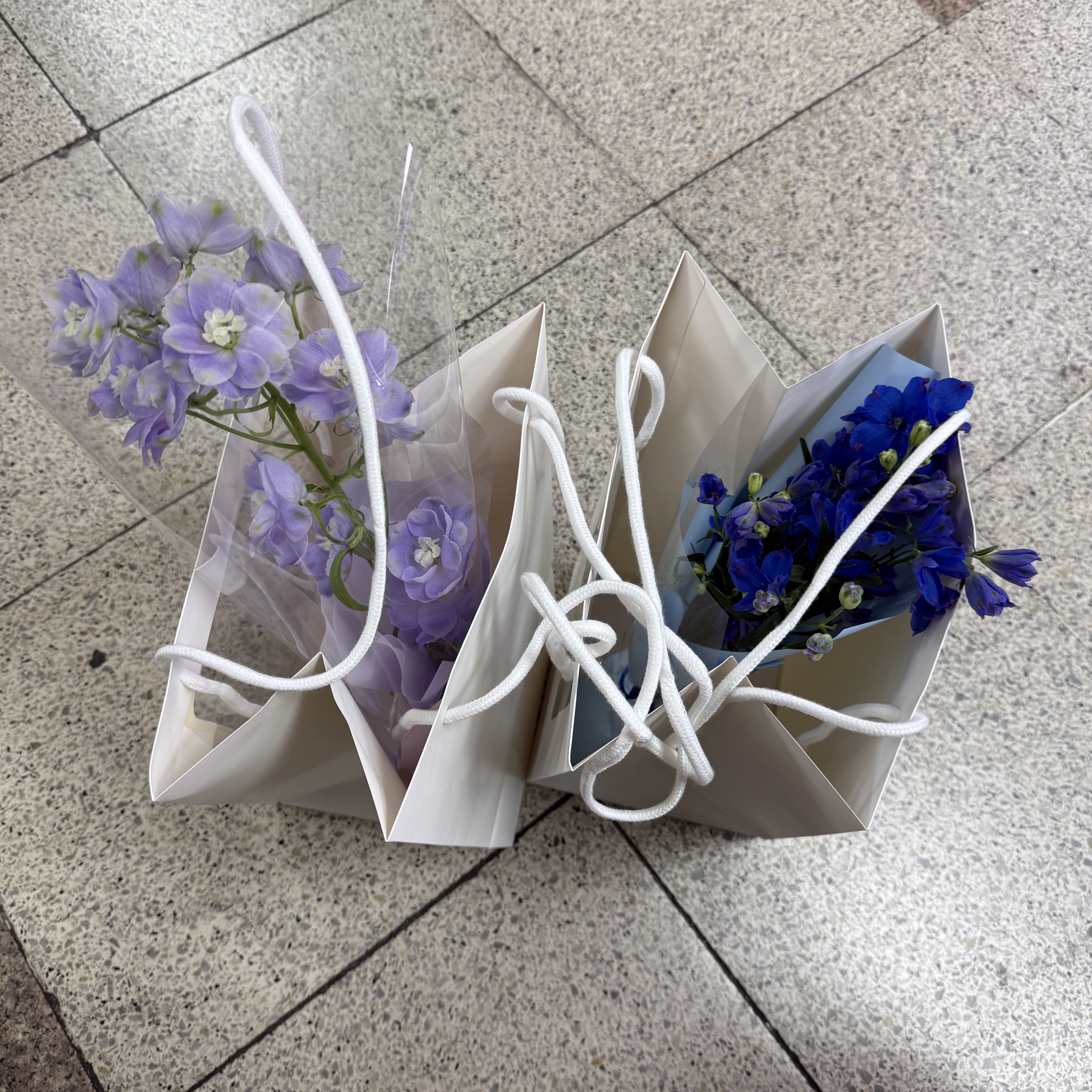 너구리님의 스타일