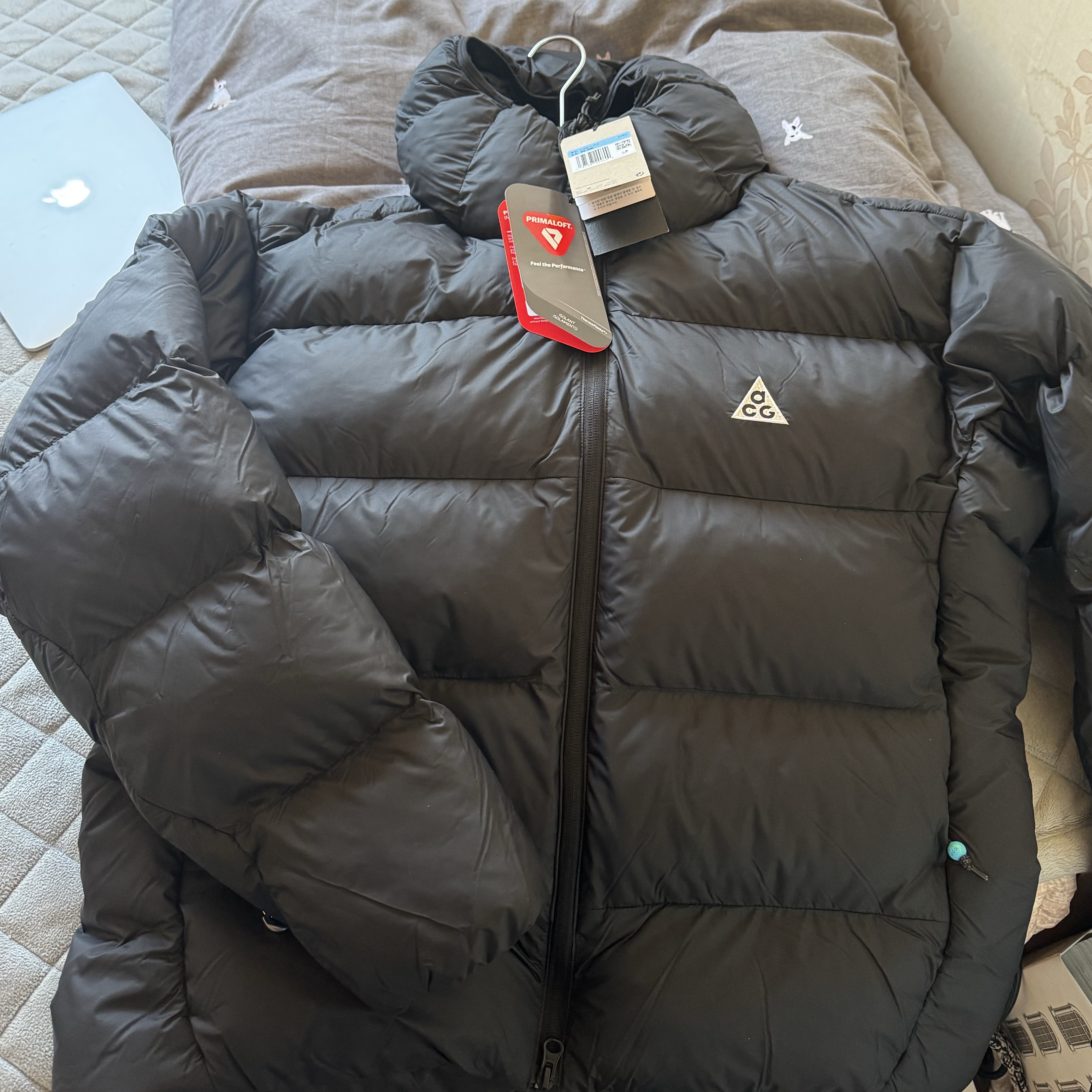 Nike ACG Therma-Fit ADV Lunar Lake Loose Hooded Jacket Black Summit White - Asia 착용 스타일