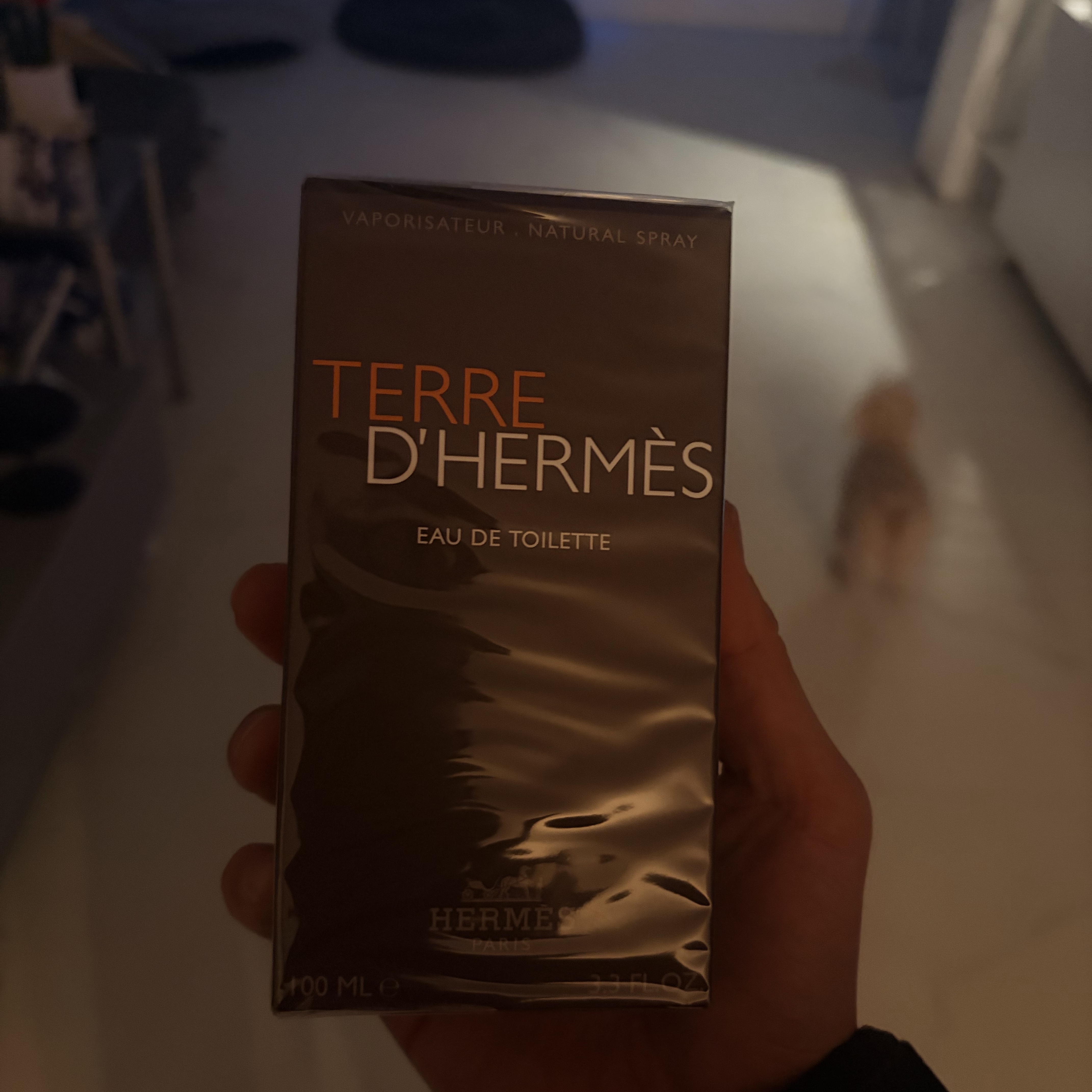 Hermes Terre d’Hermes Eau de Toilette 100ml 착용 스타일