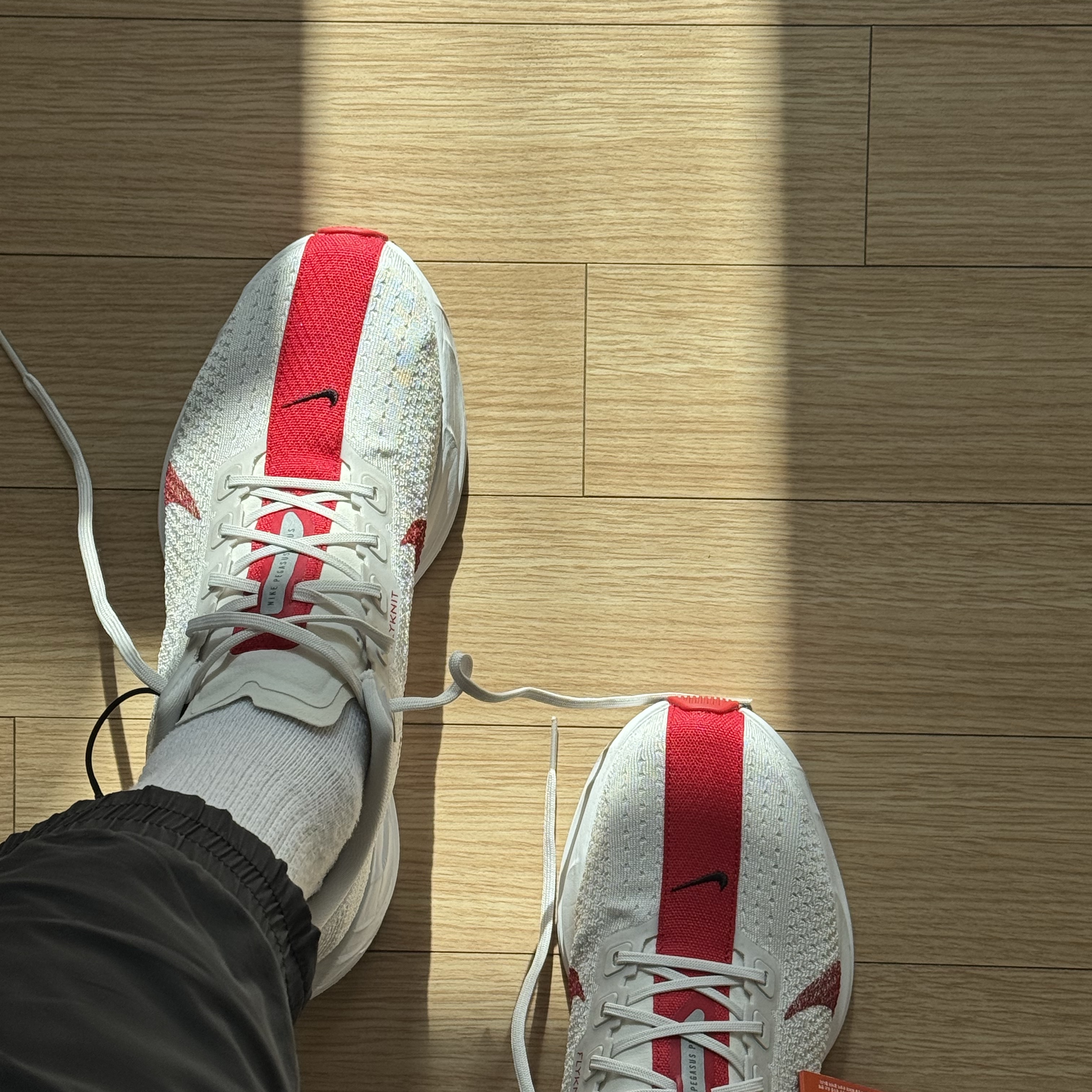 Nike Pegasus Plus Platinum Tint University Red 착용 스타일